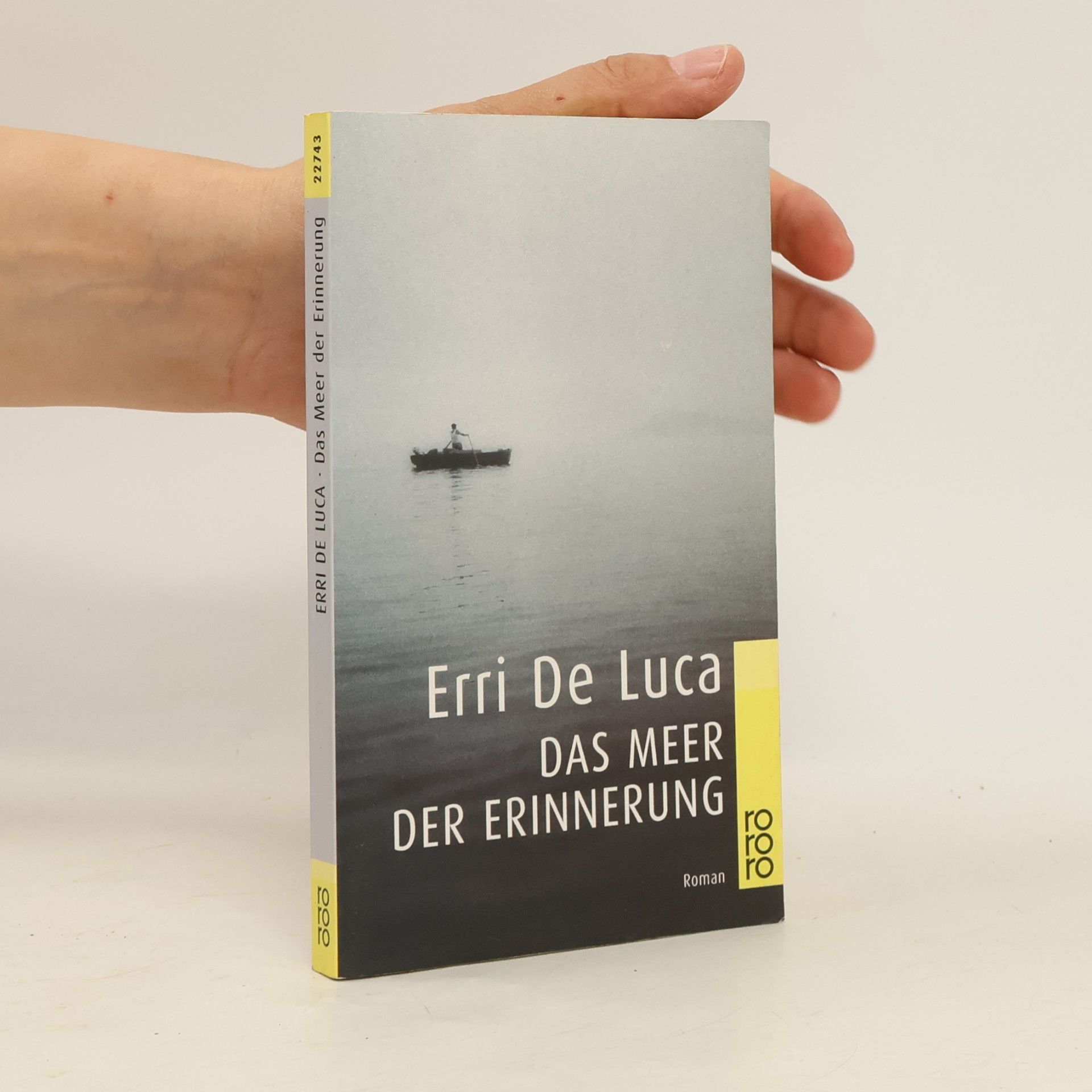 Erri De Luca Das Meer der Erinnerung