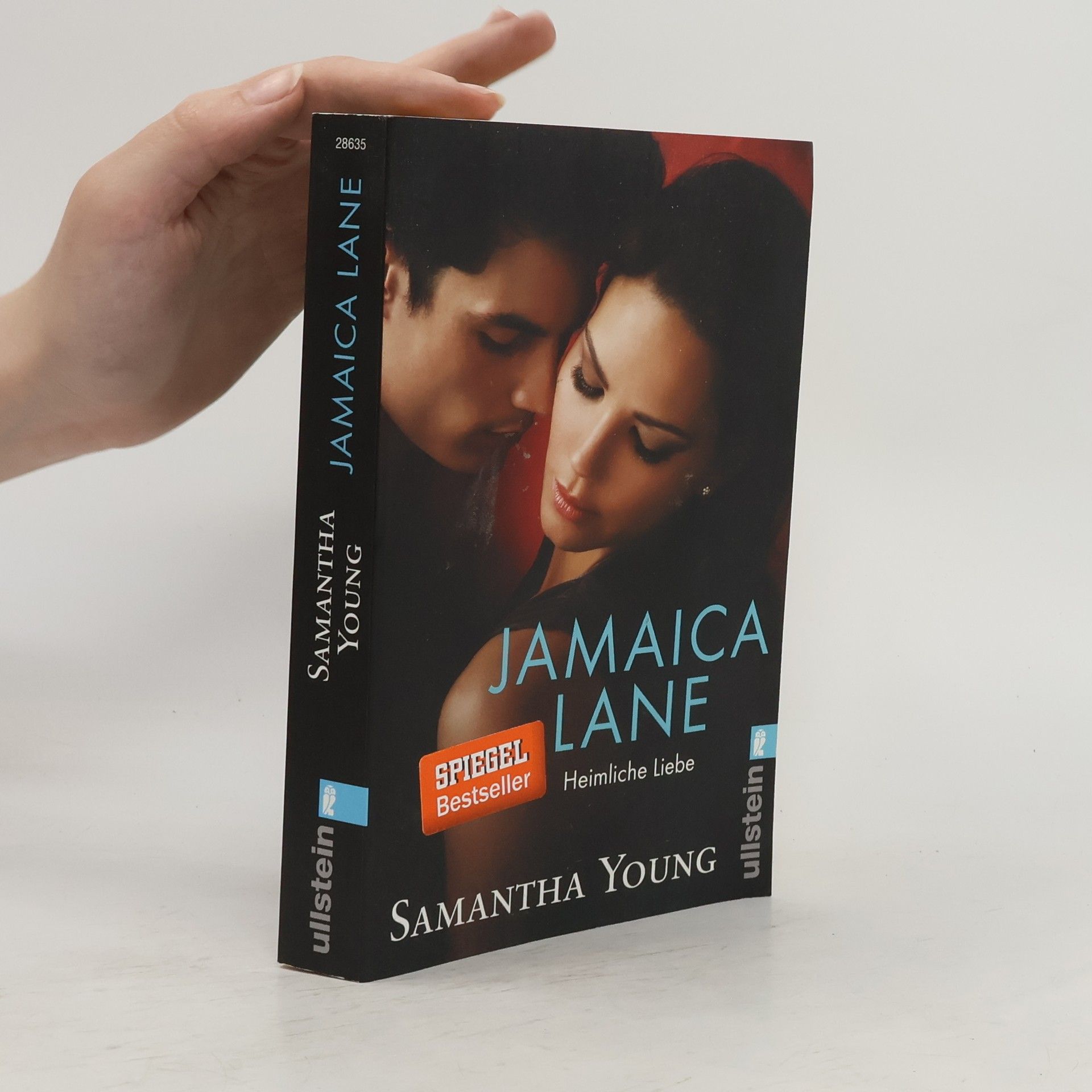 Samantha Young Jamaica Lane: Heimliche Liebe