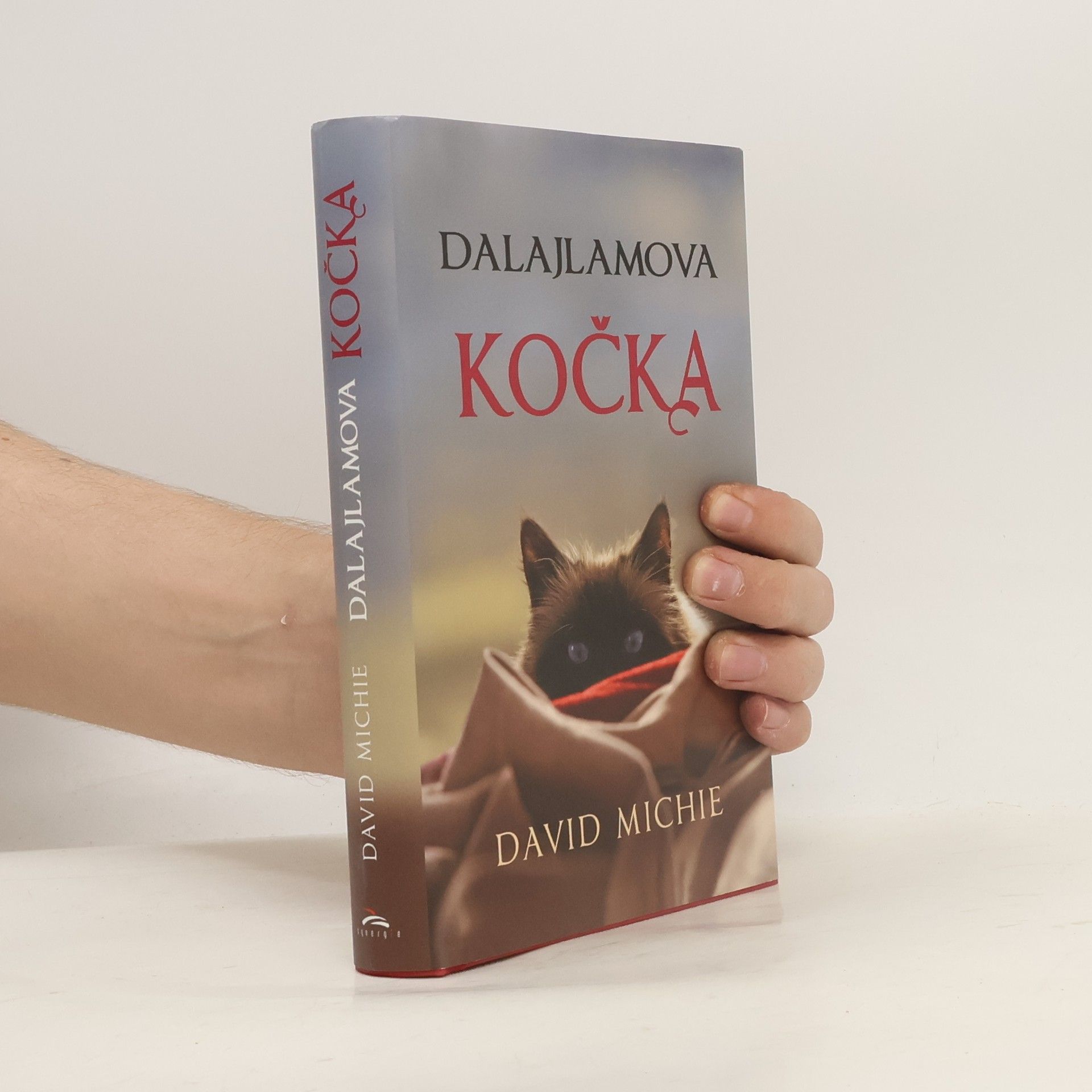 David Michie Dalajlamova kočka