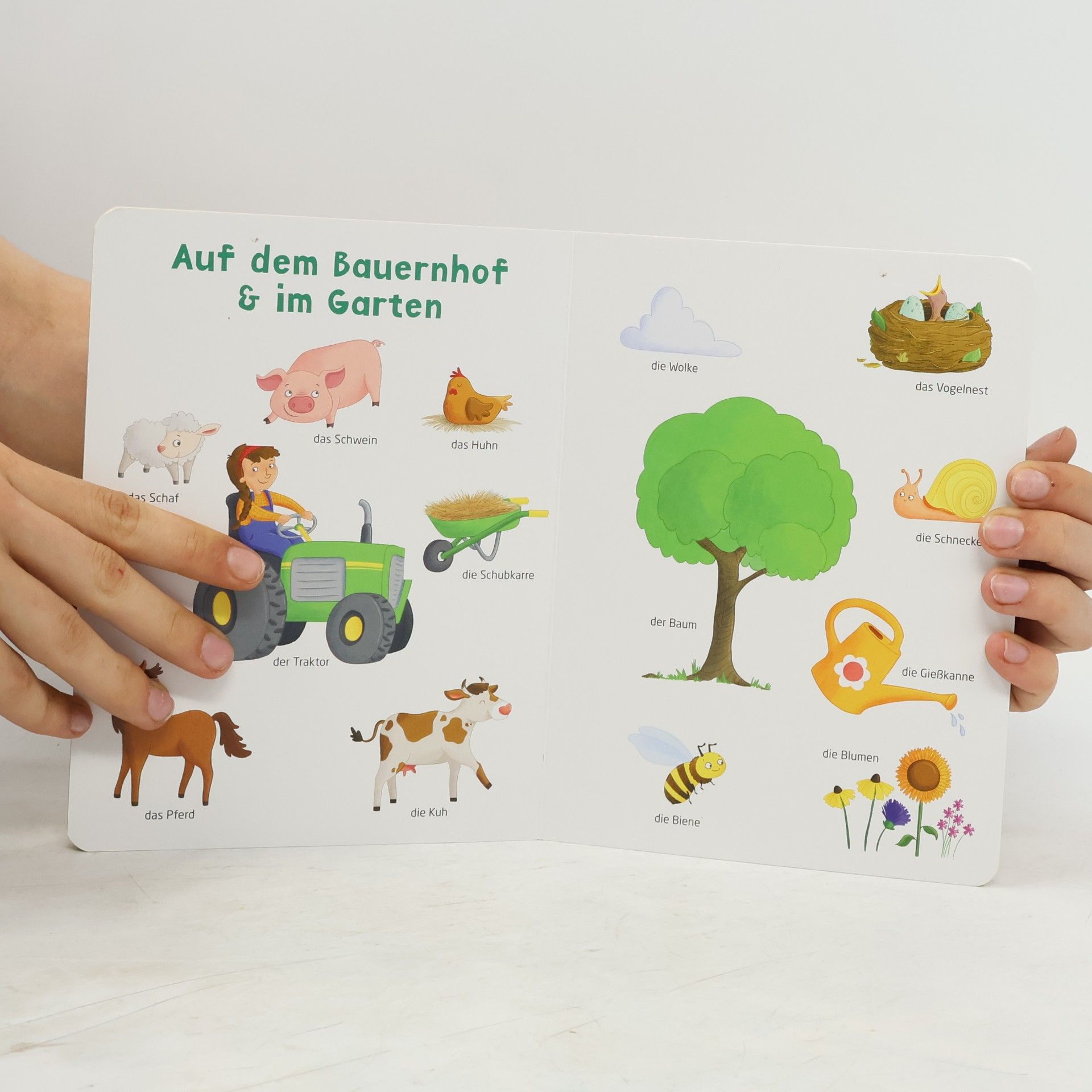 Autorenkollektiv Mein allererstes Bilderbuch