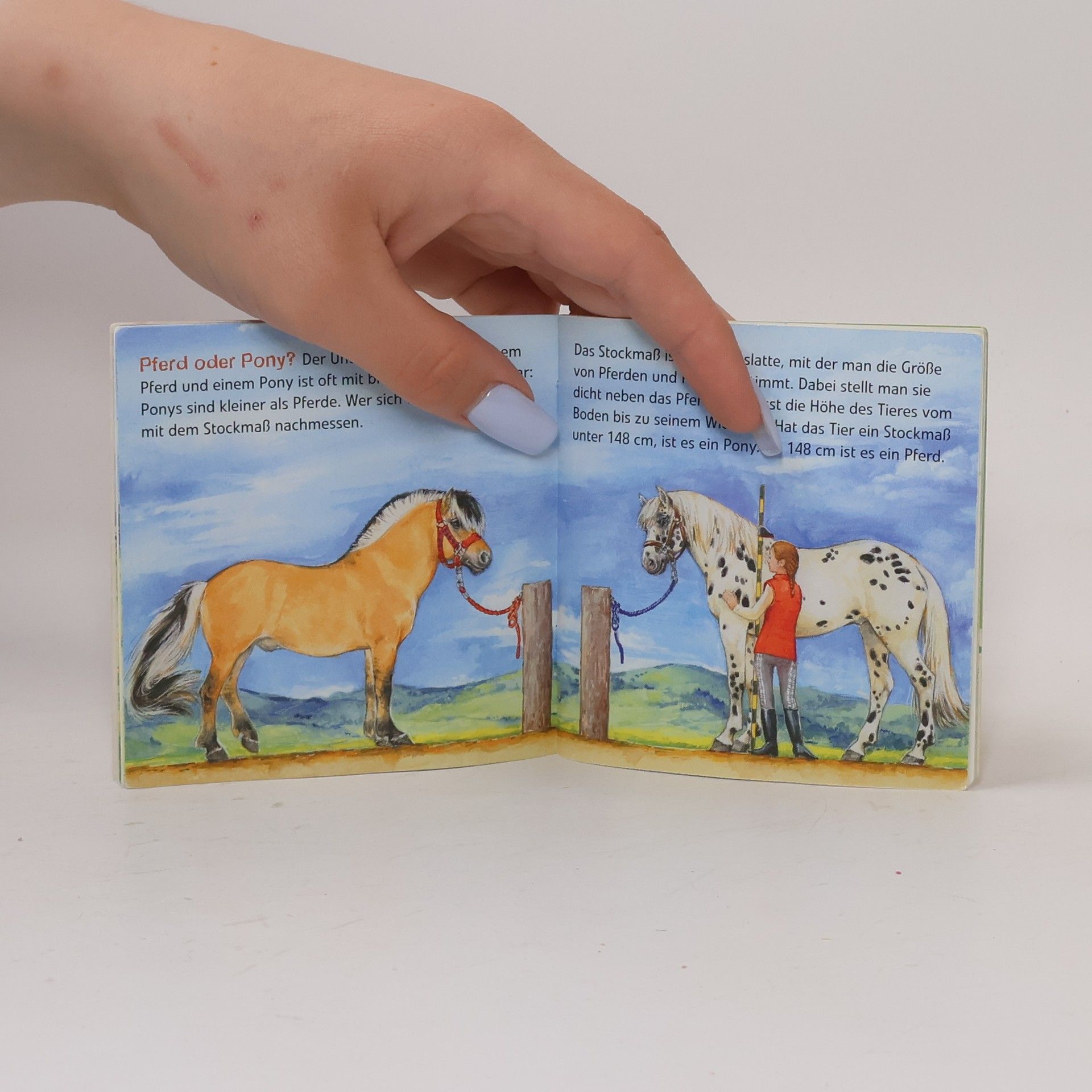 AA.VV. Entdecke die Pferde und Ponys