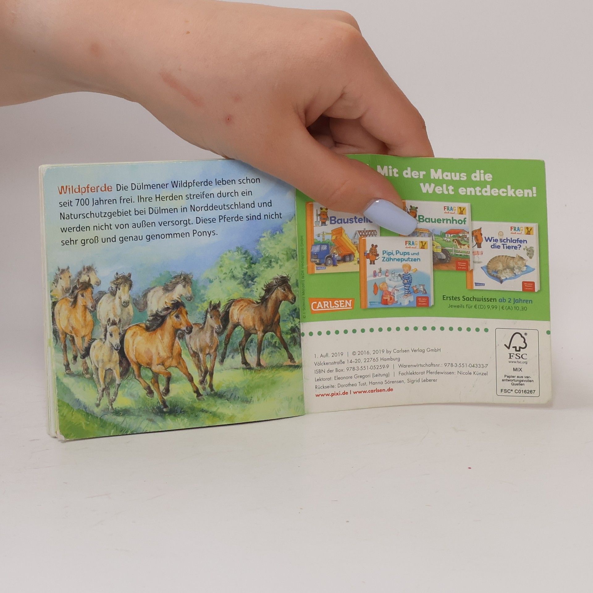AA.VV. Entdecke die Pferde und Ponys