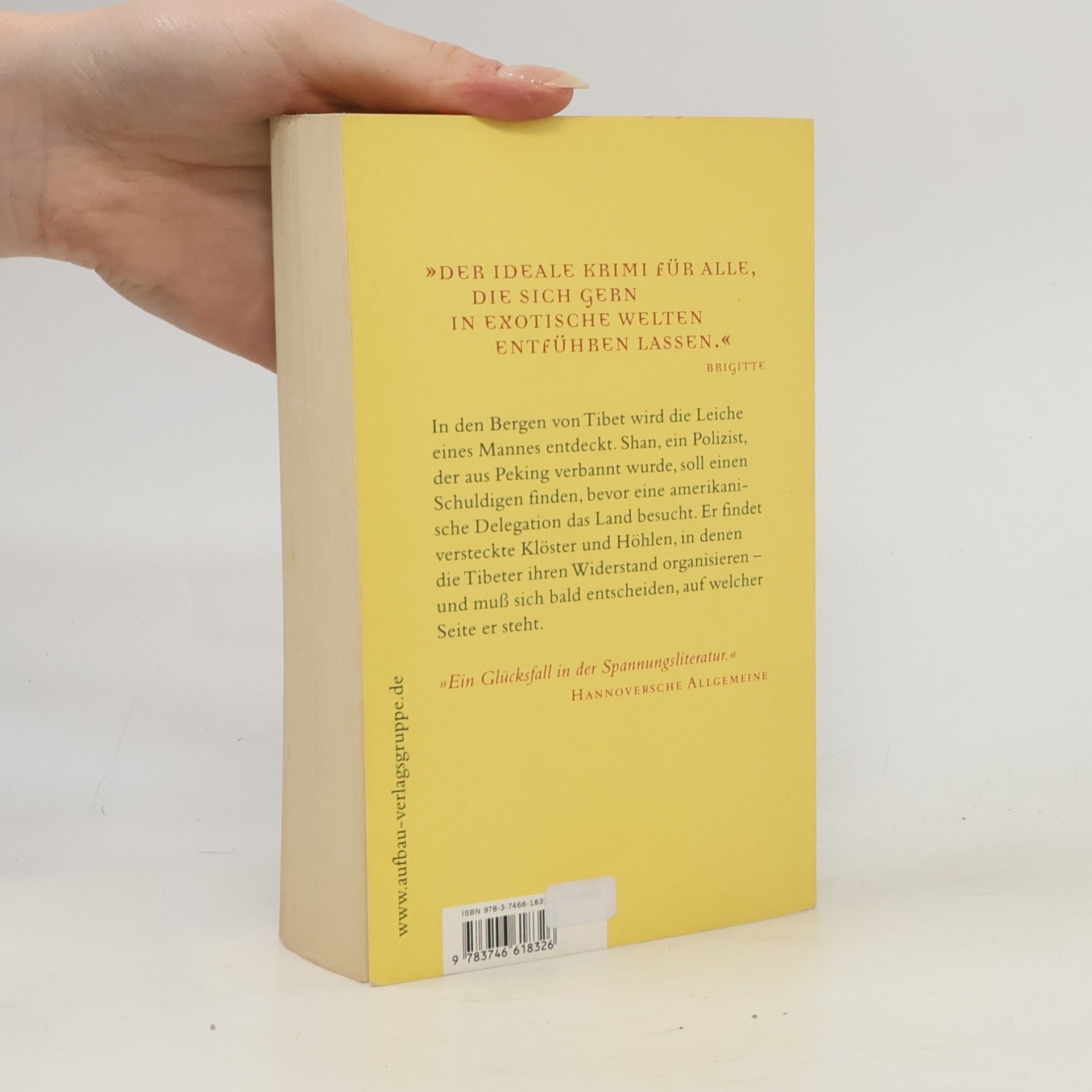 Eliot Pattison Der fremde Tibeter
