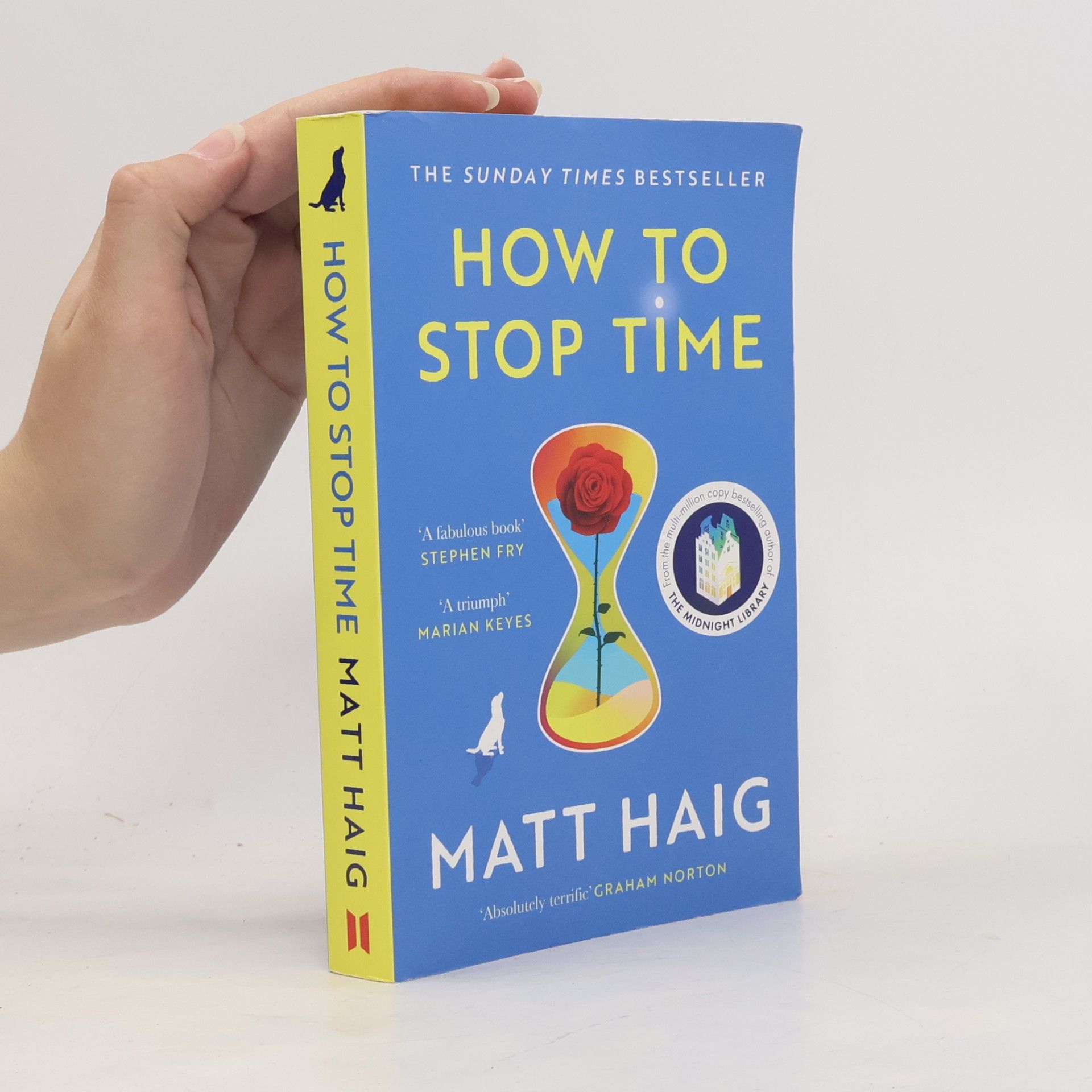 Matt Haig How to stop time