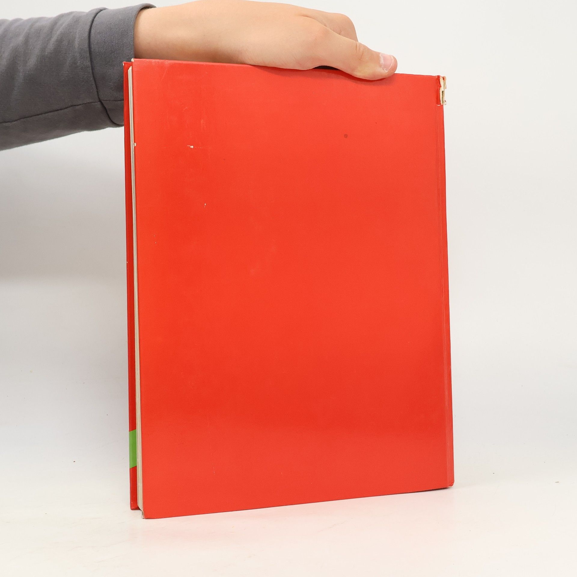 Renate Derndinger Das grosse Kochbuch