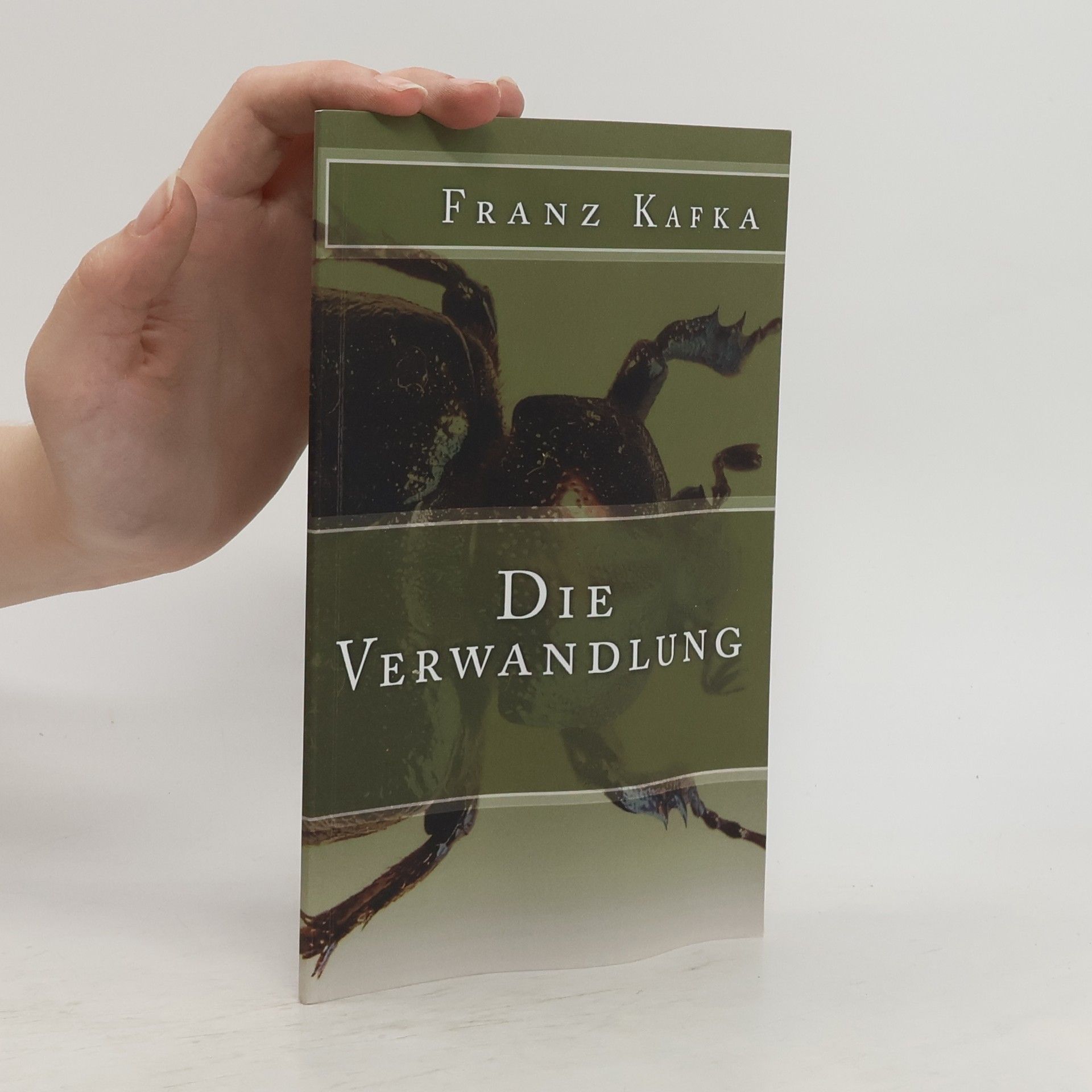 Franz Kafka Klassiker der Weltliteratur - 5: Die Verwandlung