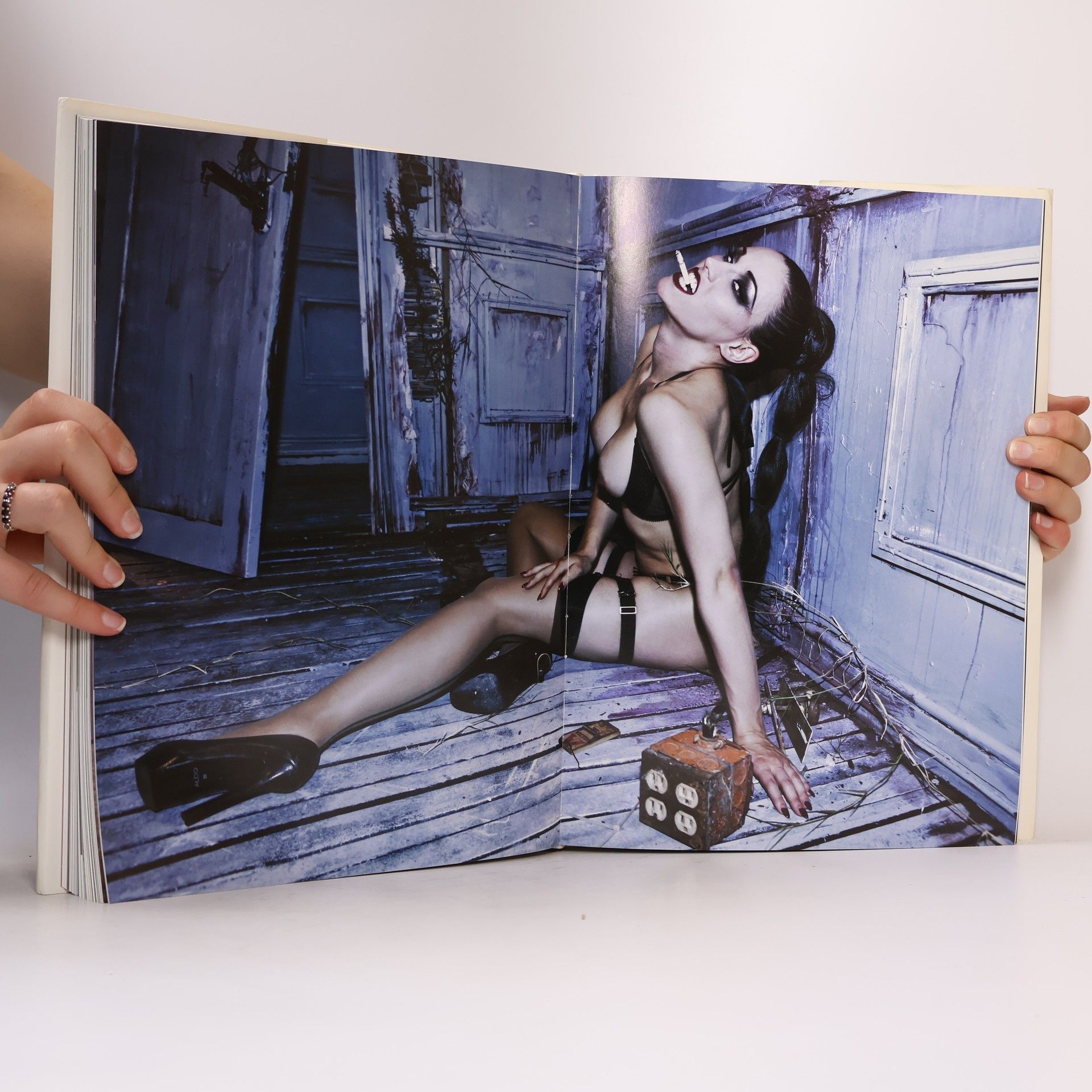 Dian Hanson The New Erotic Photography