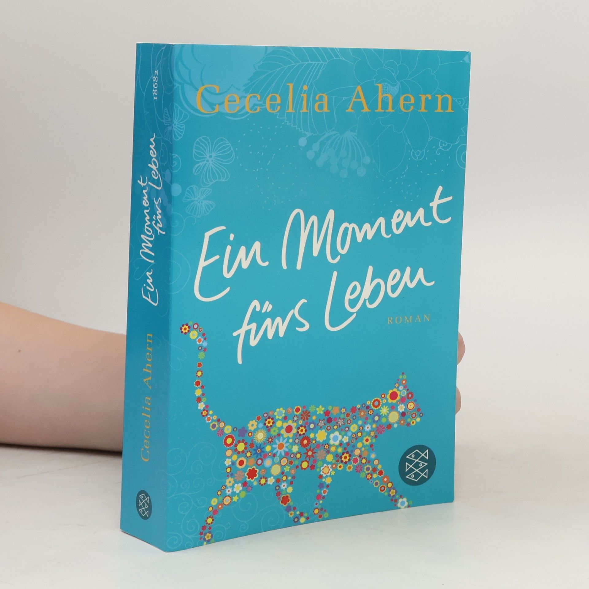 Cecelia Ahern Ein Moment fürs Leben