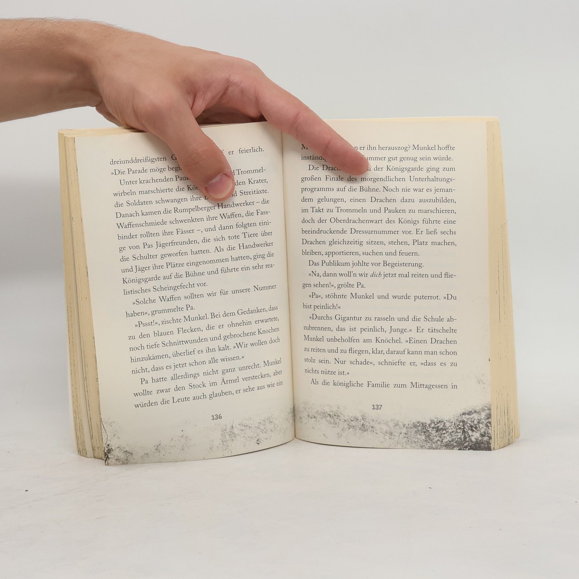 Janet Foxley Munkel Trogg - der kleinste Riese der Welt