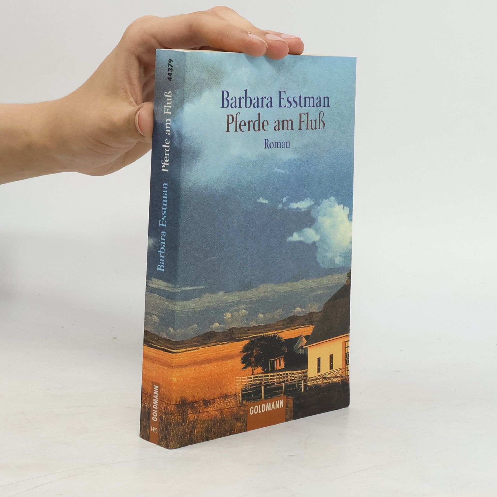Barbara Esstman Pferde am Fluß