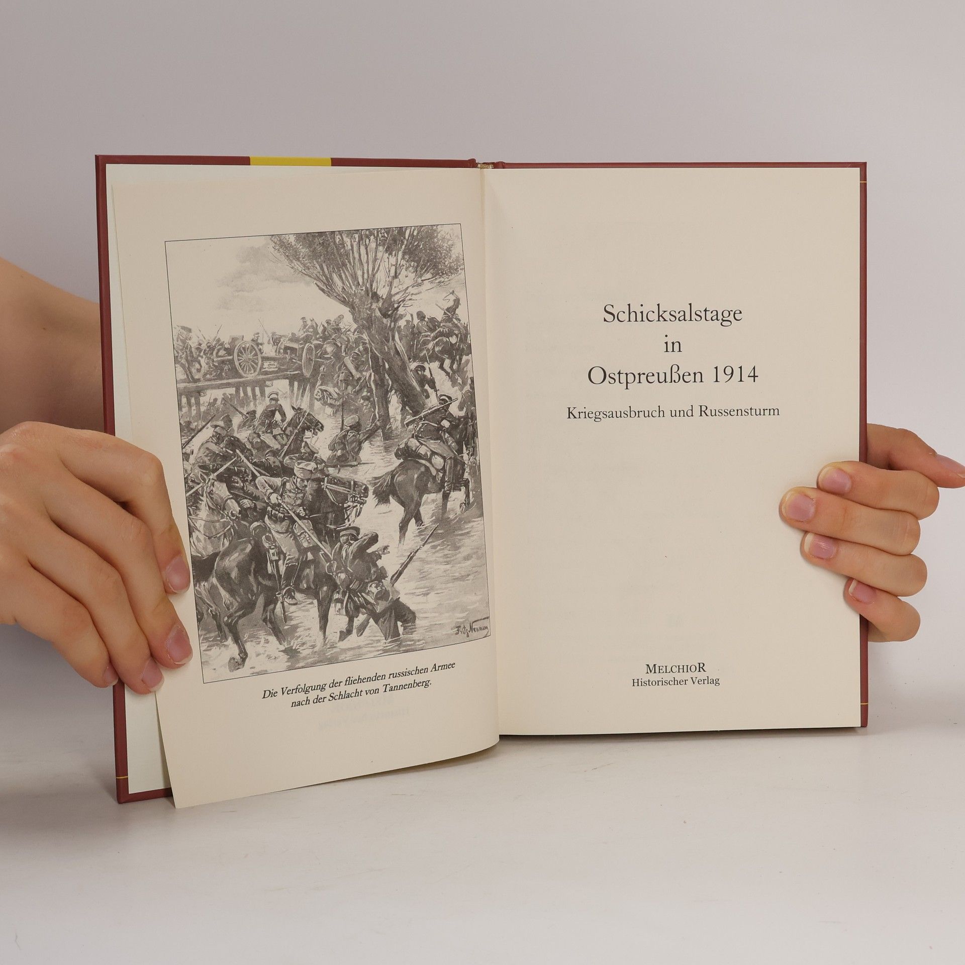 Holger Tümmler Schicksalstage in Ostpreußen 1914