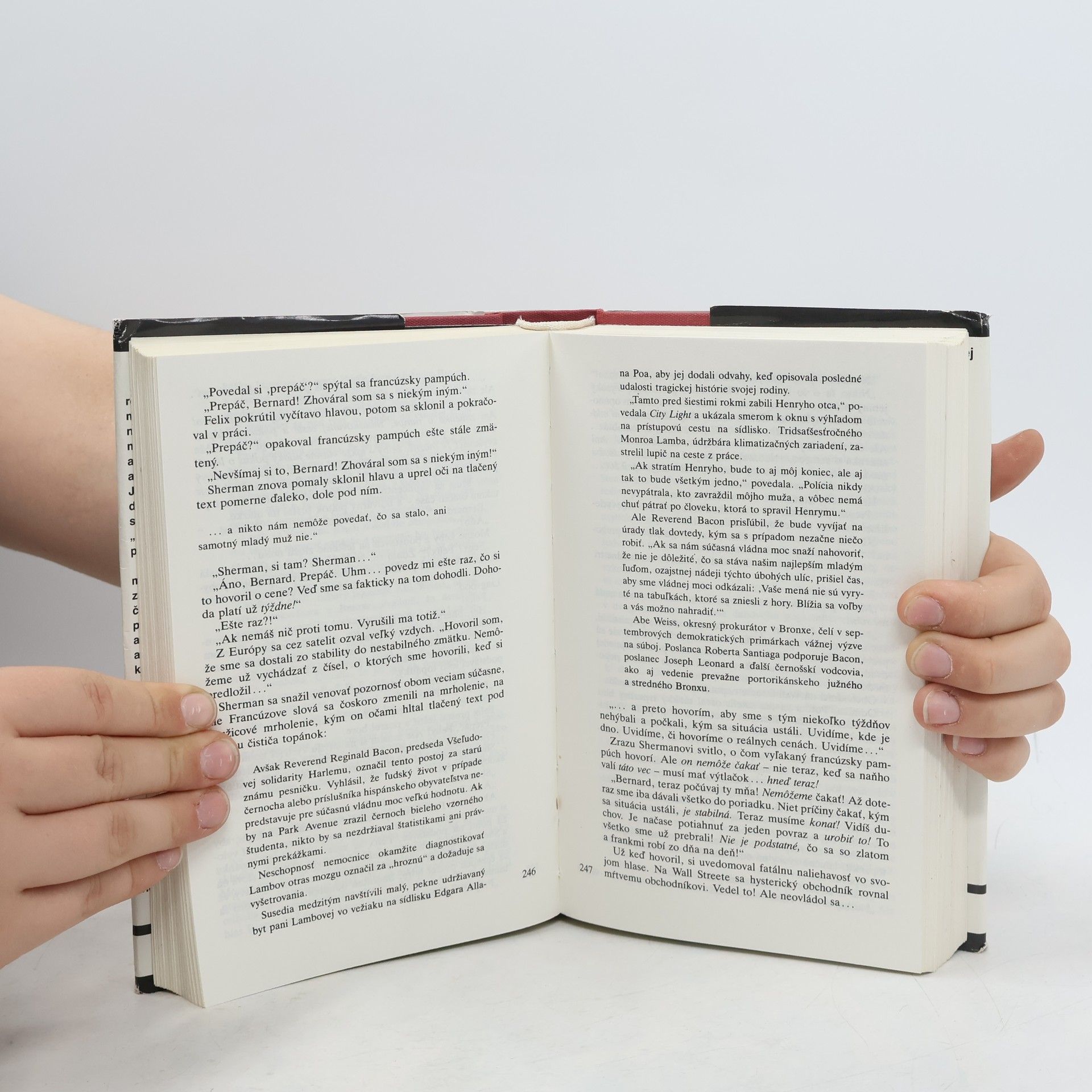 Tom Wolfe Ohňostroj márností