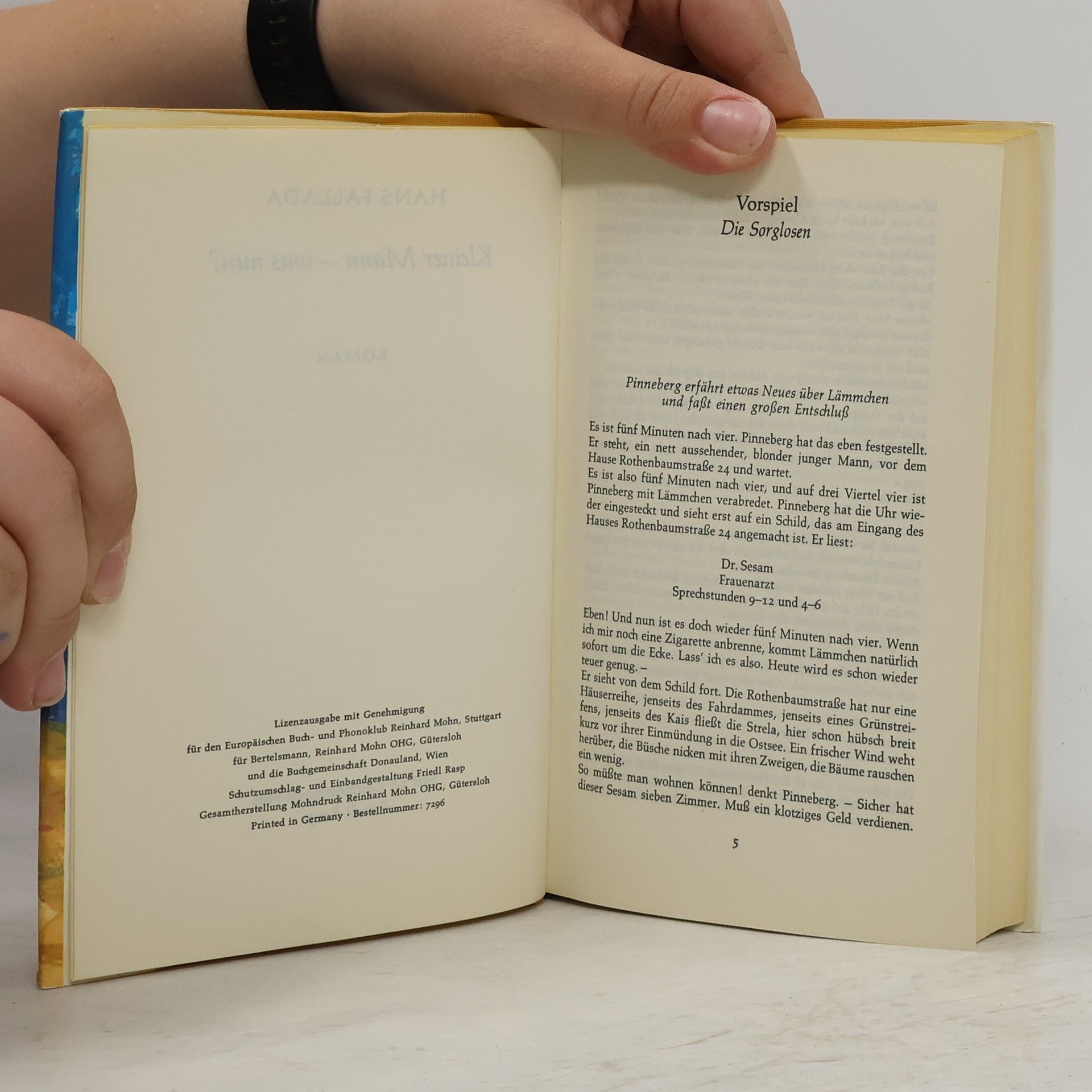 Hans Fallada Kleiner Mann - was nun? : Roman