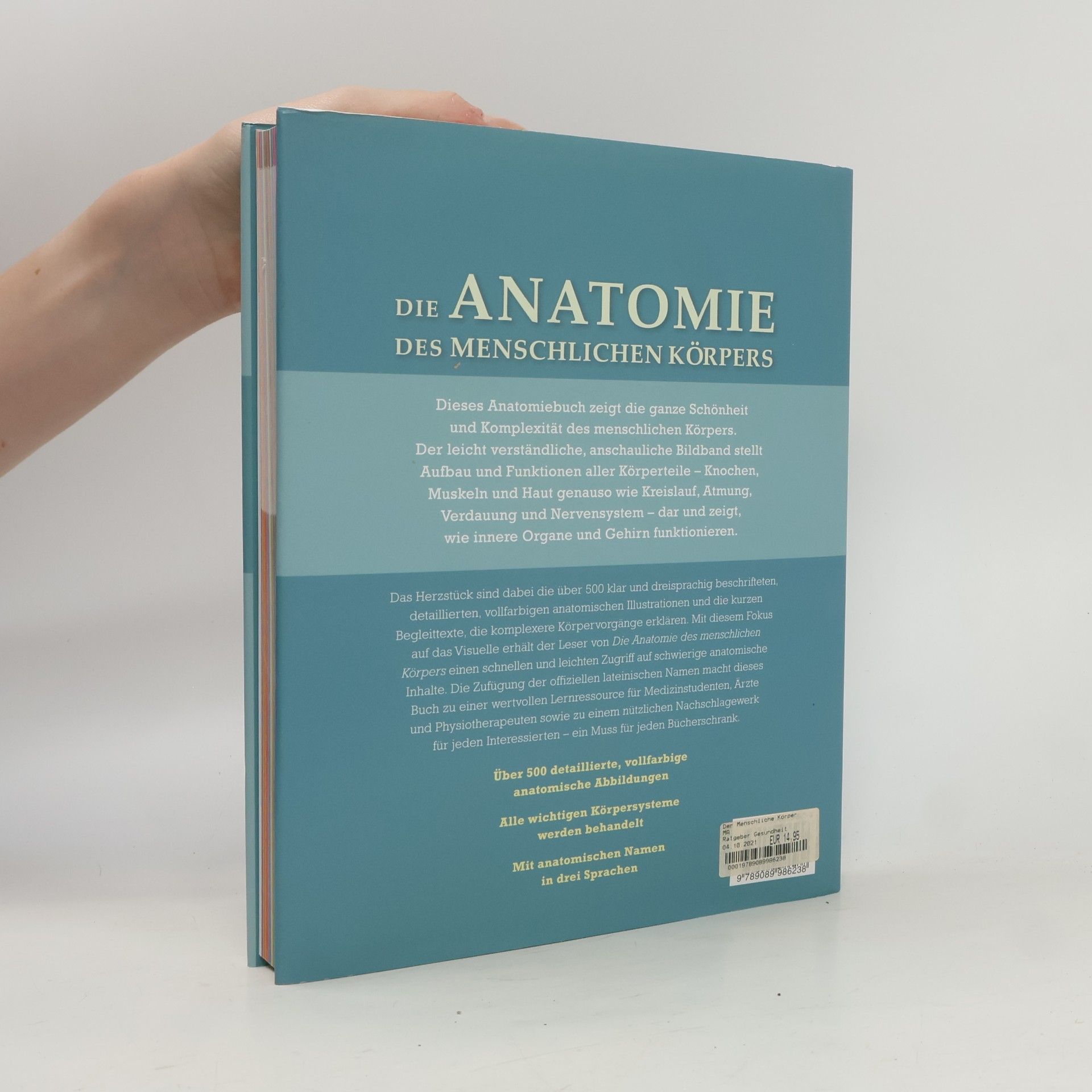 Ken Ashwell Die Anatomie des menschlichen Körpers