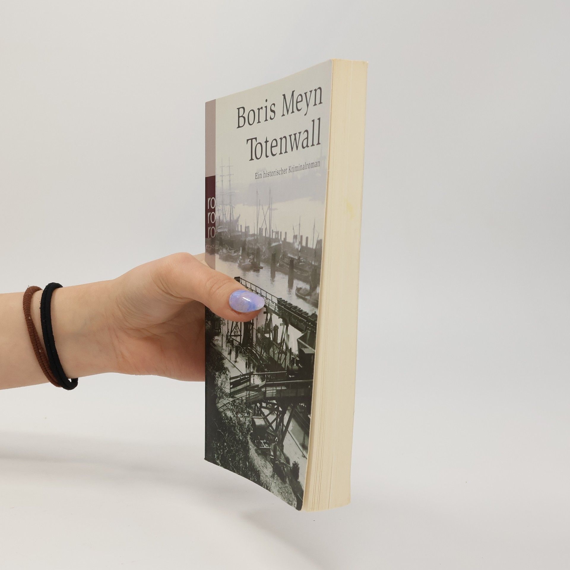 Boris Meyn Familie Bischop ermittelt - 6: Totenwall