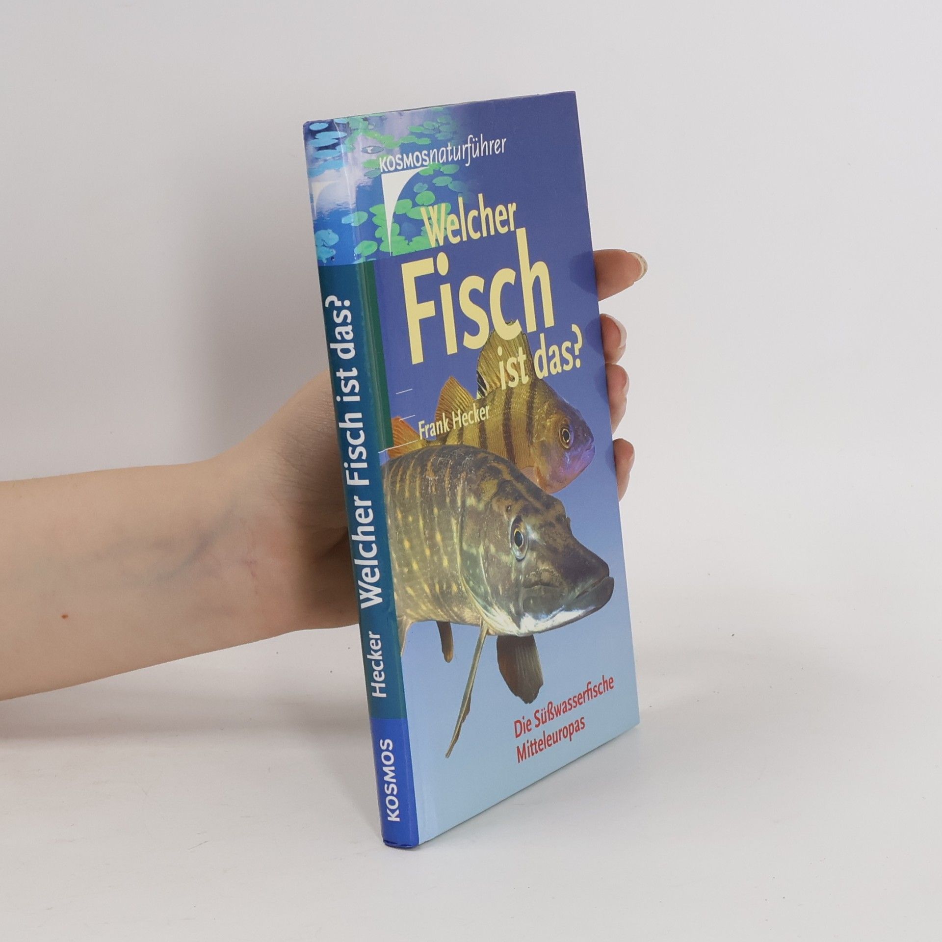 Katrin Hecker Welcher Fisch ist das?