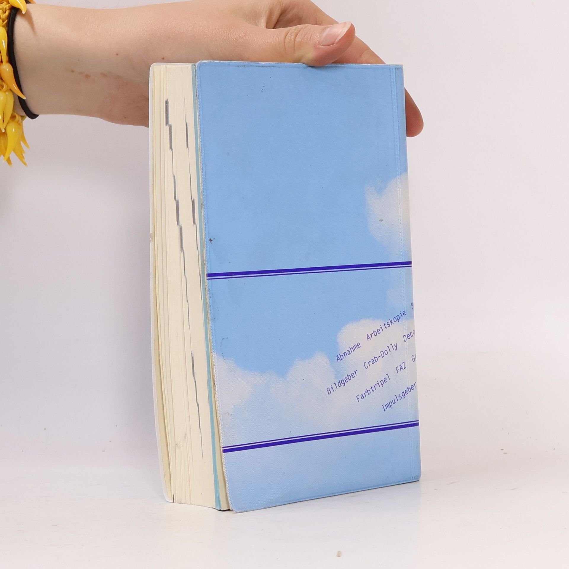 Gebrauchswörterbuch Fernsehen