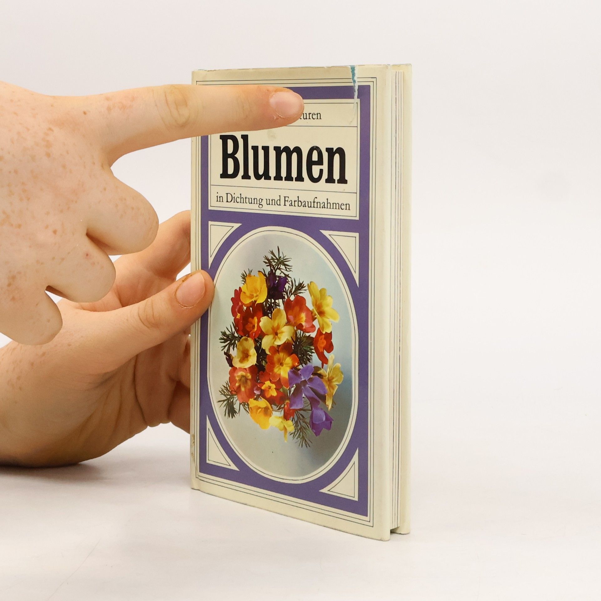 Autorenkollektiv Blumen In Dichtung und Farbaufnahmen