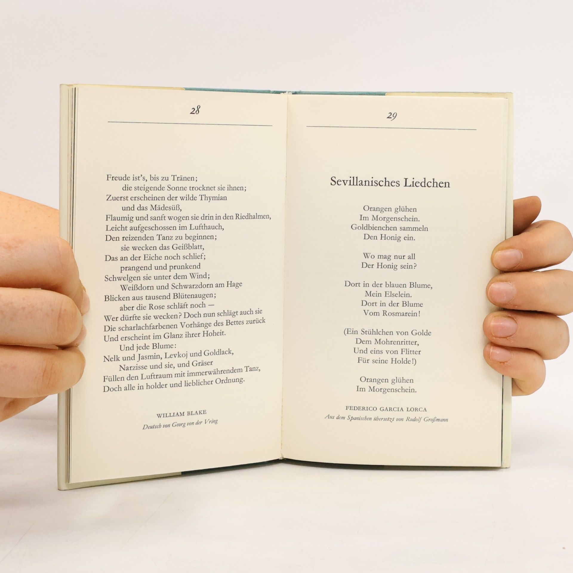 Autorenkollektiv Blumen In Dichtung und Farbaufnahmen