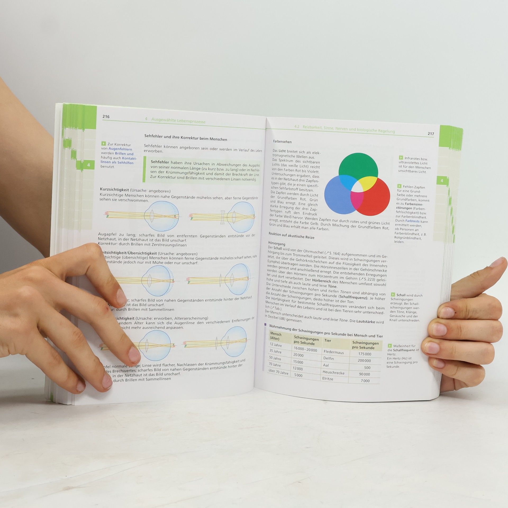 Collectif d'auteurs Biologie: Duden Schulwissen 5. bis 10. Klasse