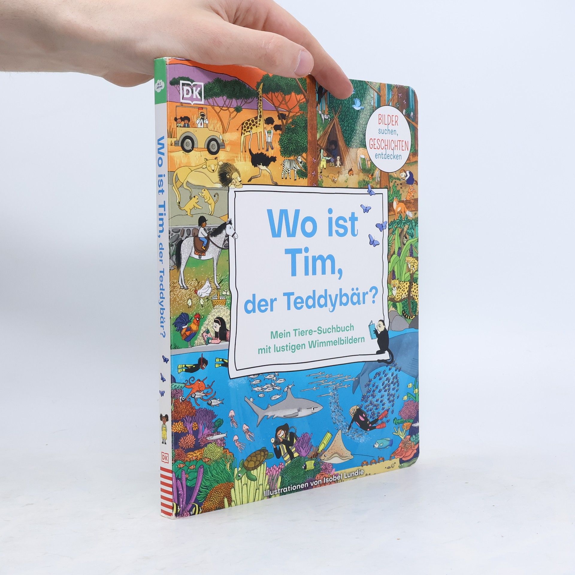 Wo ist Tim, der Teddybär?