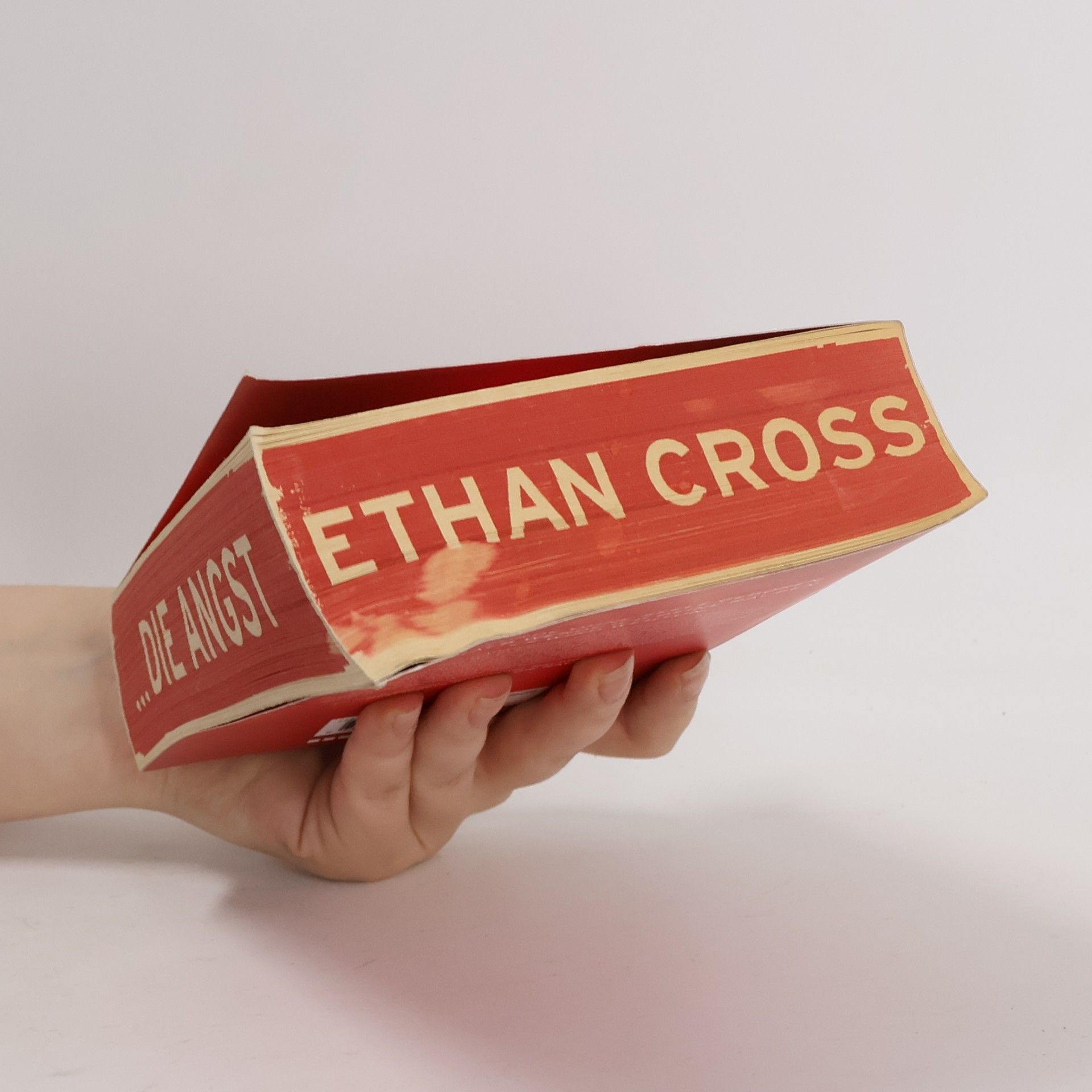 Ethan Cross Ich bin die angst