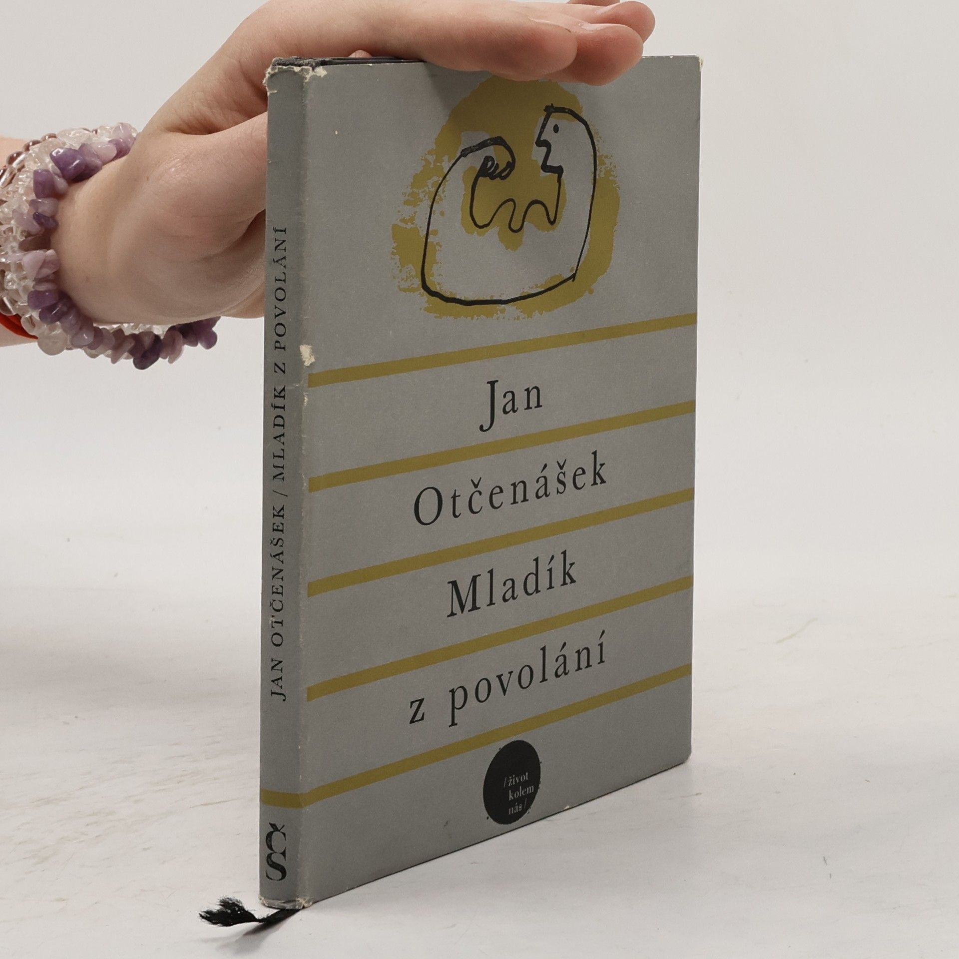 Jan Otčenášek Mladík z povolání