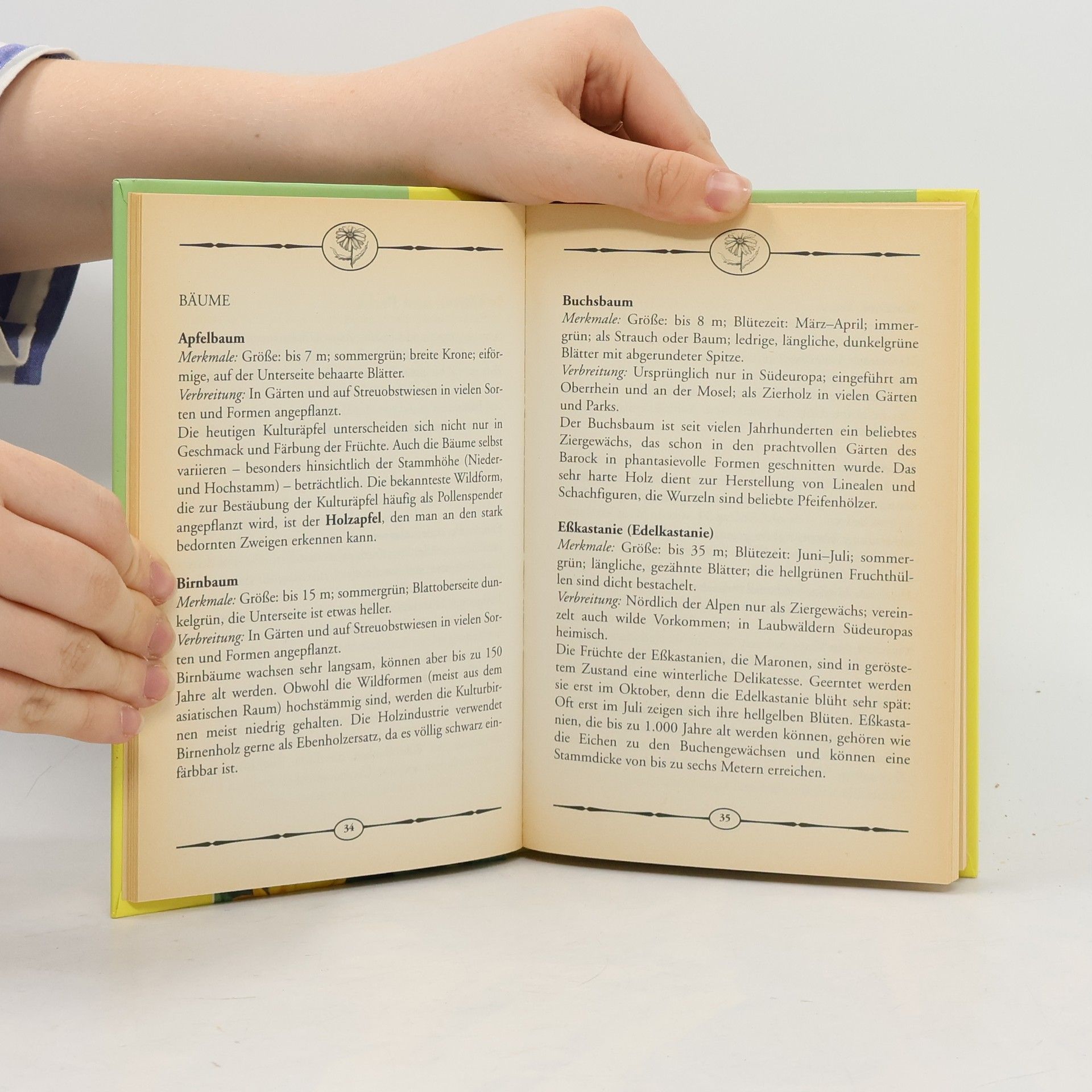 Buch der heimischen Pflanzen