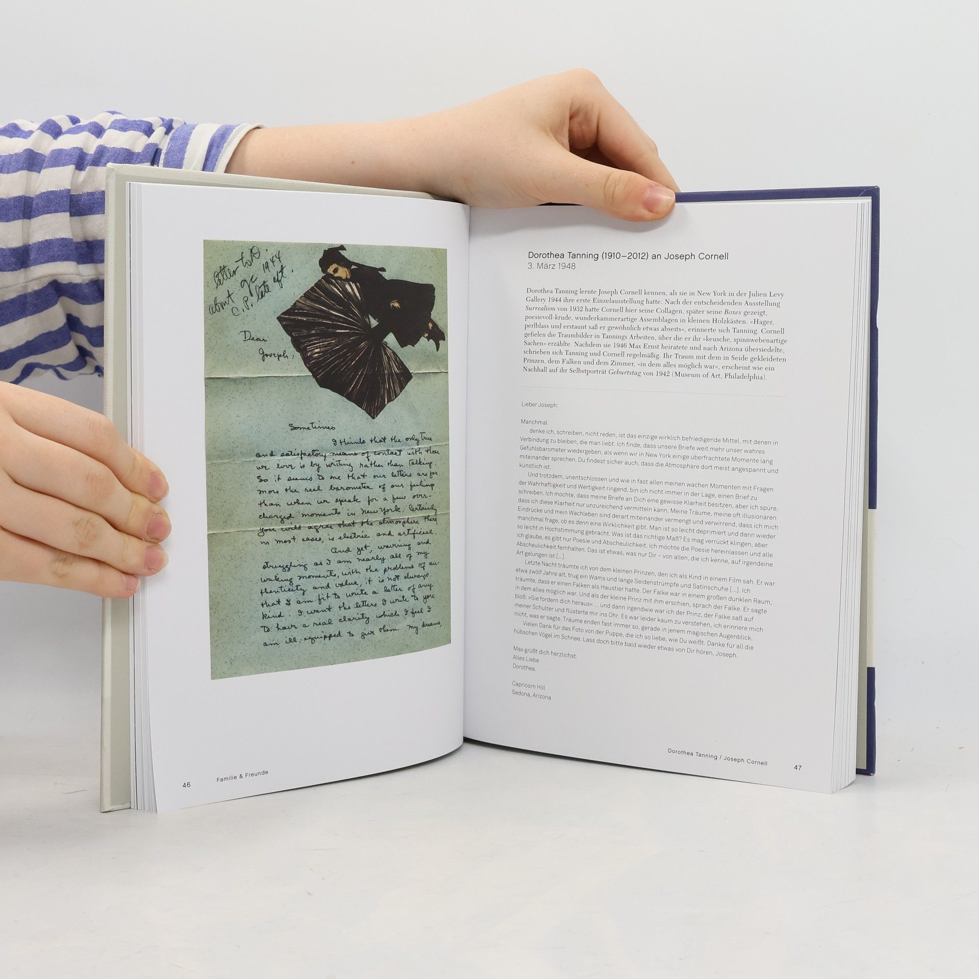 Michael Bird Letters of Art: Künstlerbriefe von Michelangelo bis Frida Kahlo