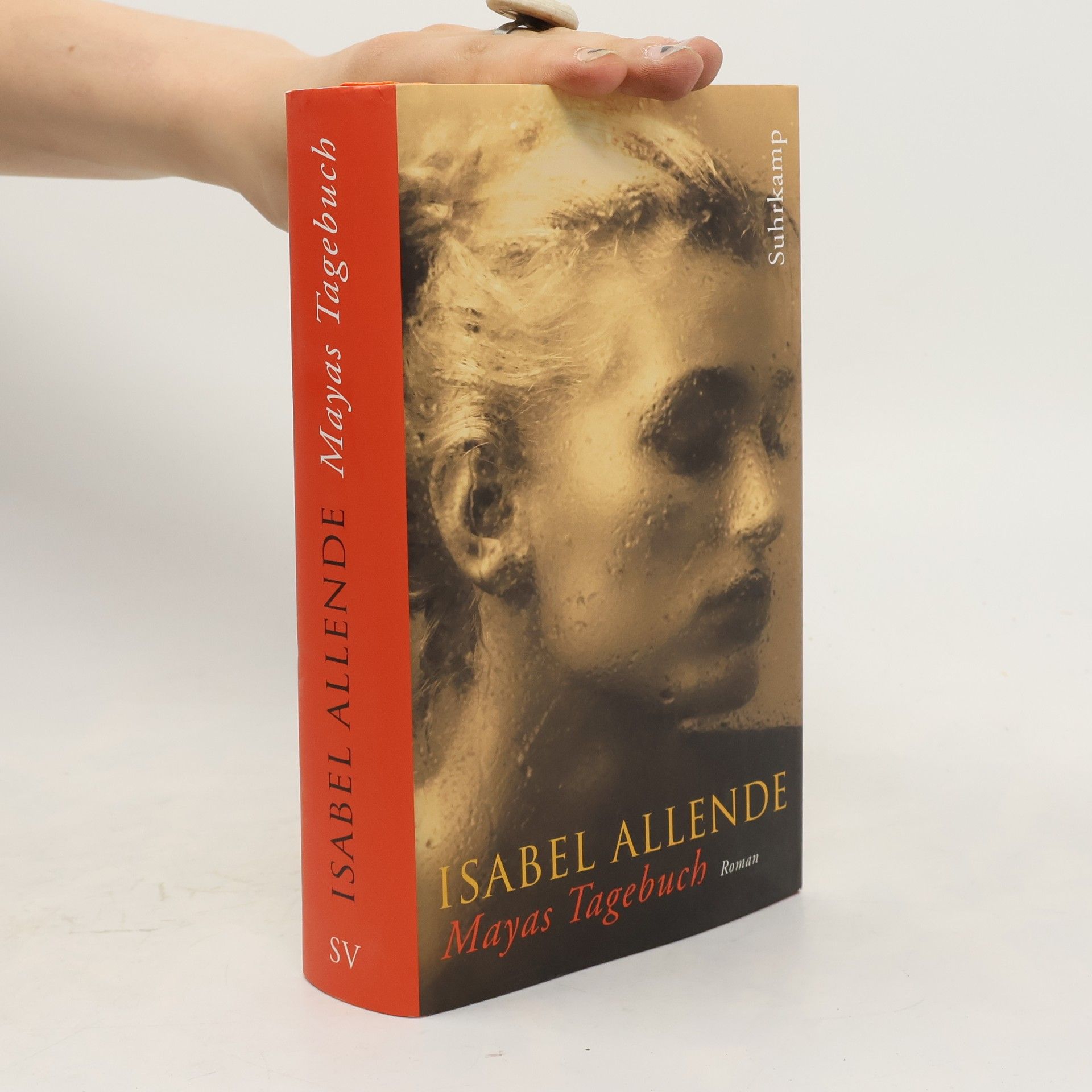 Isabel Allende Mayas Tagebuch. Roman