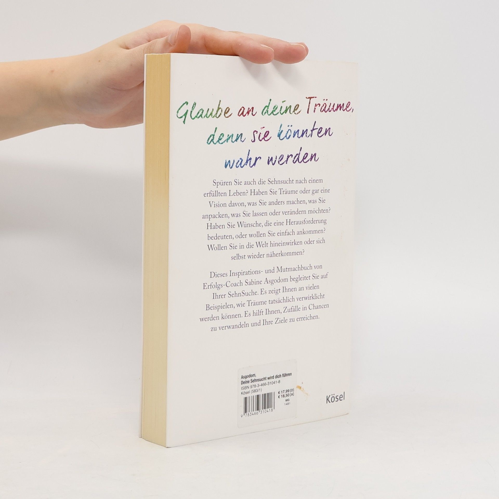 Sabine Asgodom Deine Sehnsucht wird dich führen. Wie Menschen erreichen, wovon sie träumen