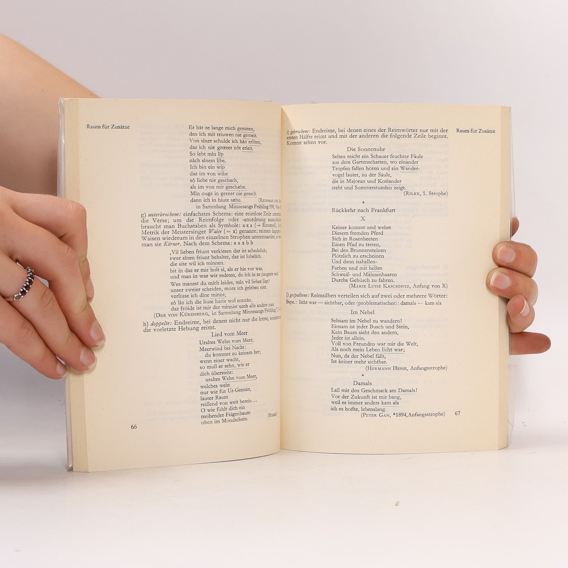 Ivo Braak Poetik in Stichworten
