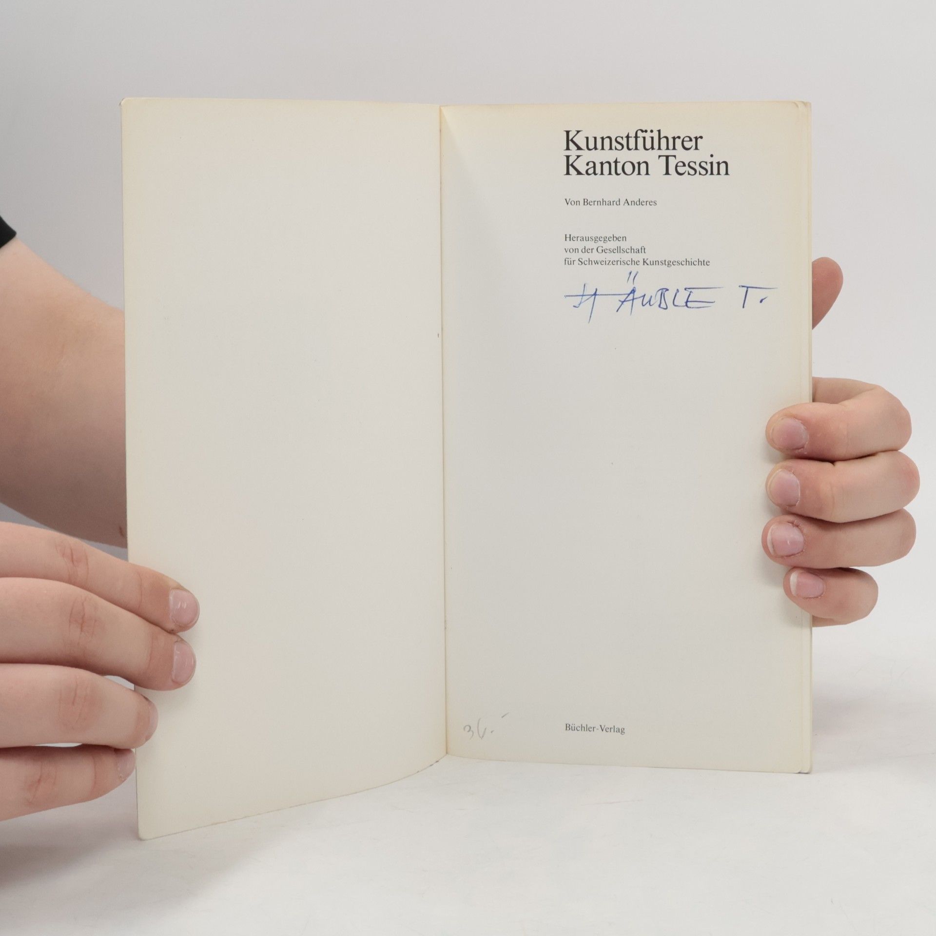 Bernhard Anderes Kunstführer Kanton Tessin