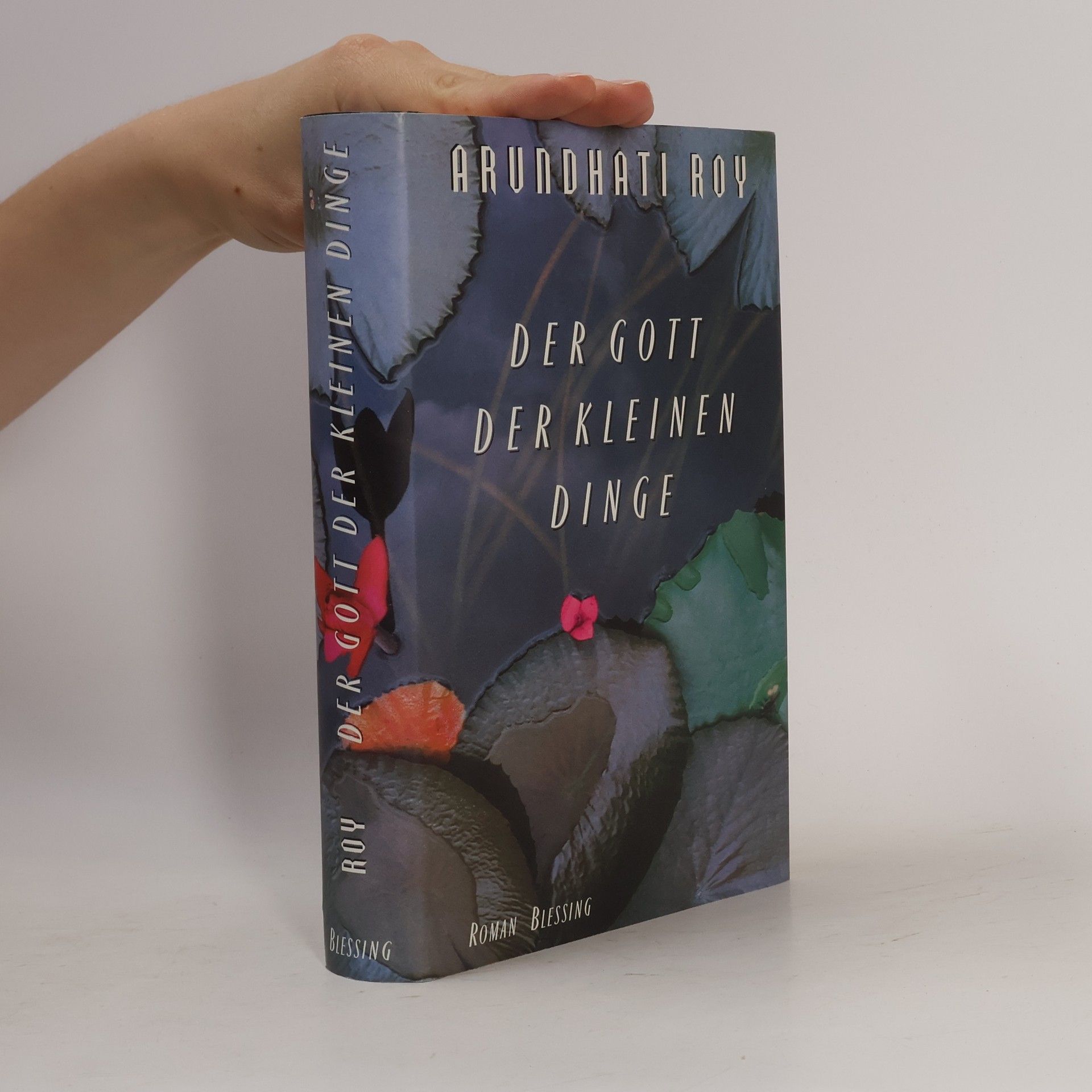 Arundhati Roy Der Gott der Kleinen Dinge