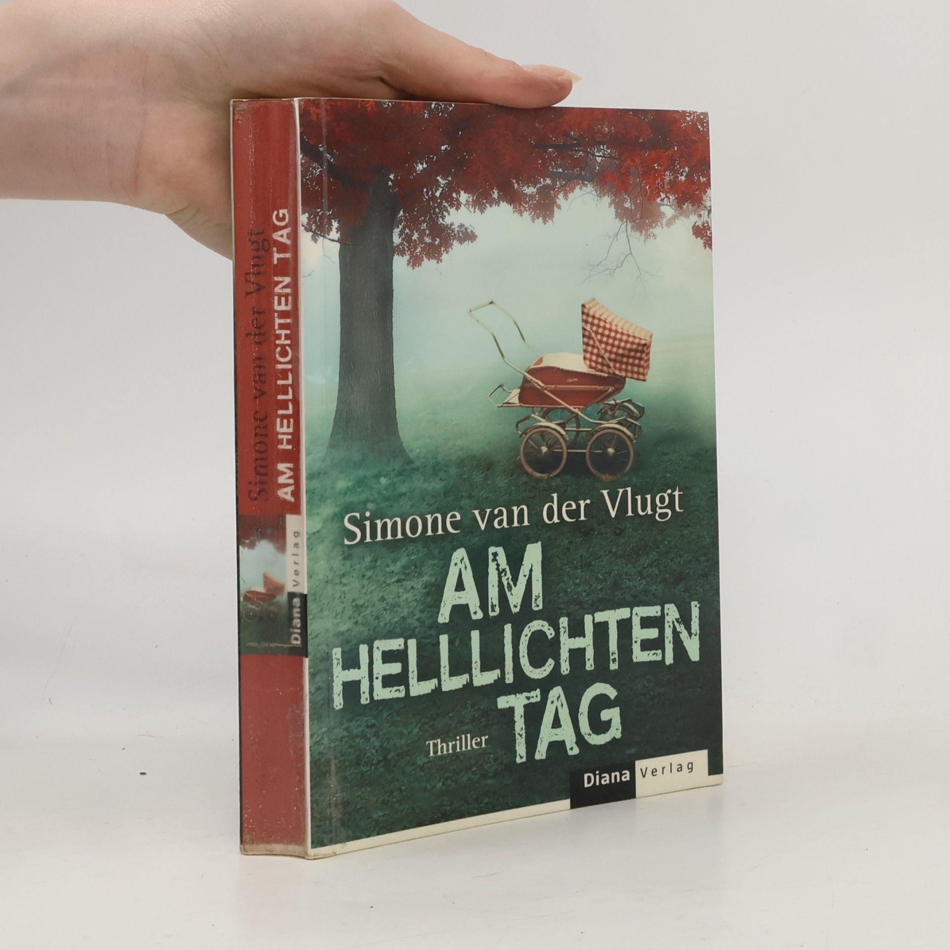 Simone van der Vlugt Am hellichten Tag