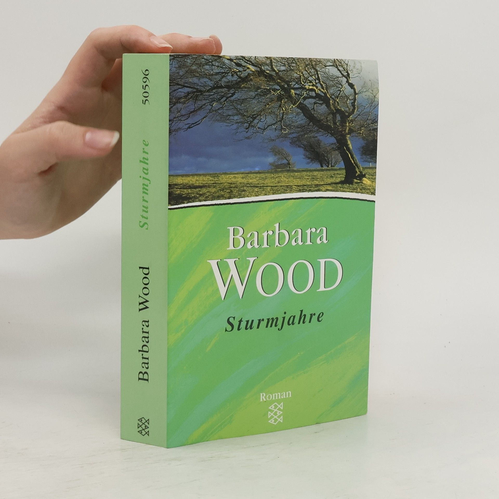 Barbara Wood Sturmjahre