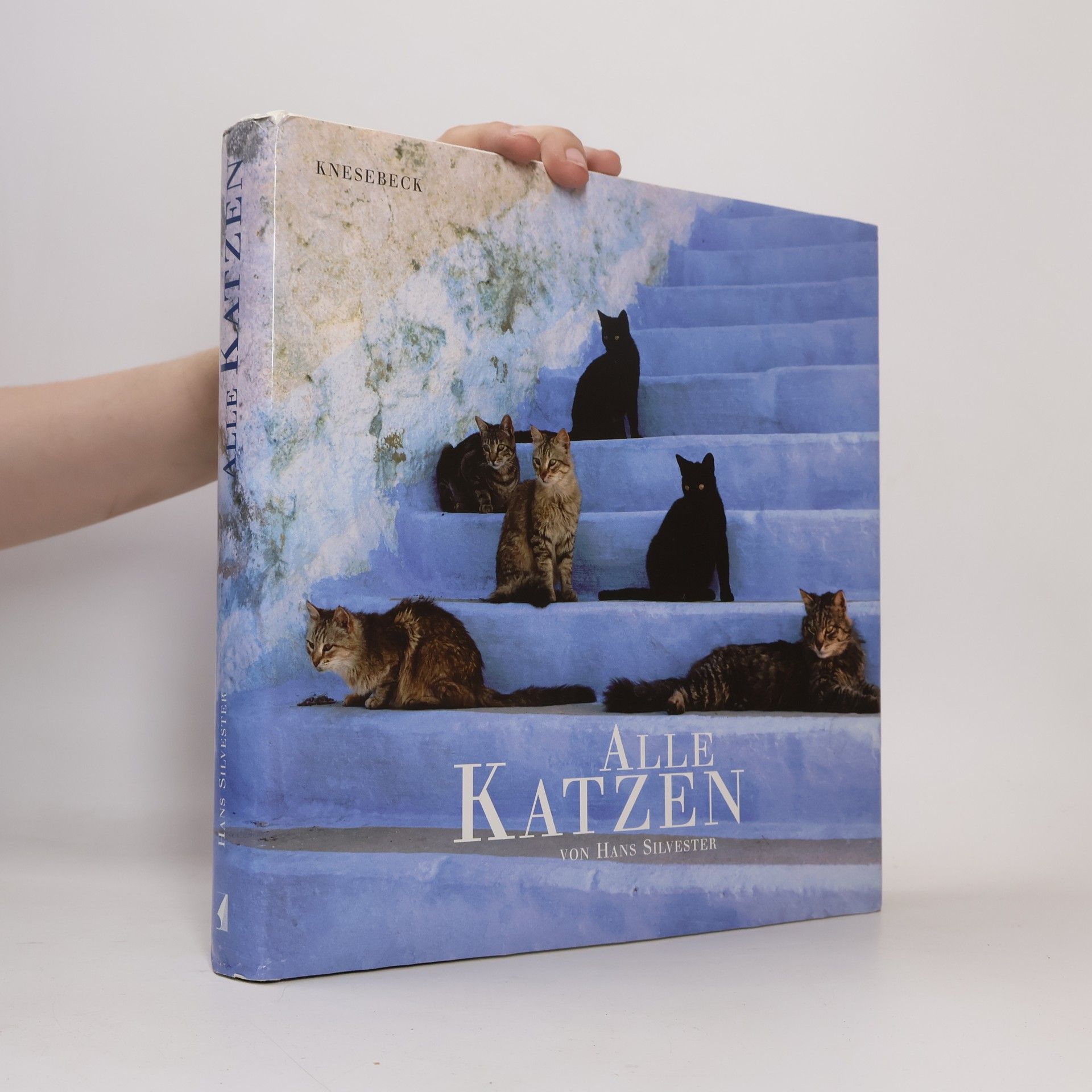 Alle Katzen