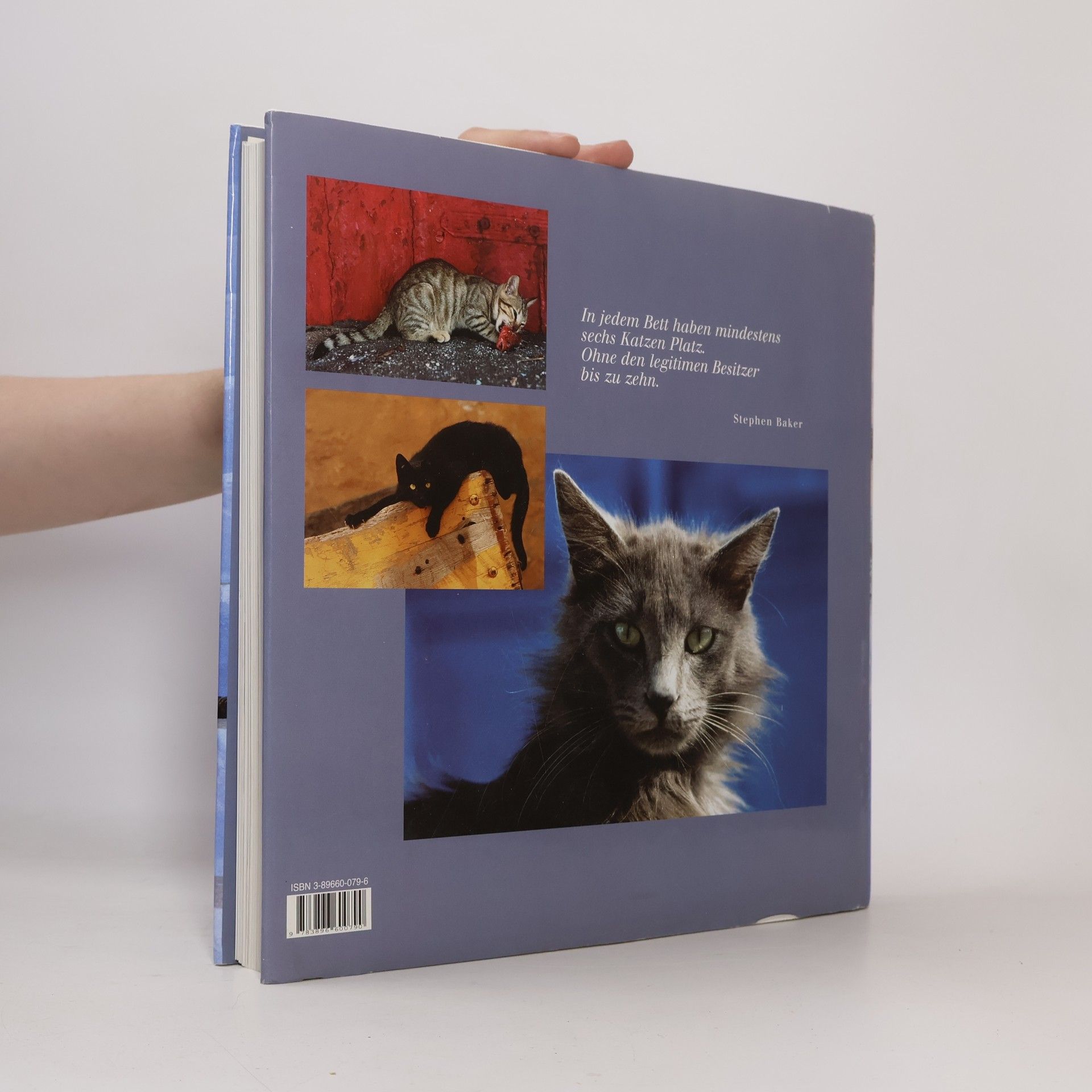 Hans Silvester Alle Katzen