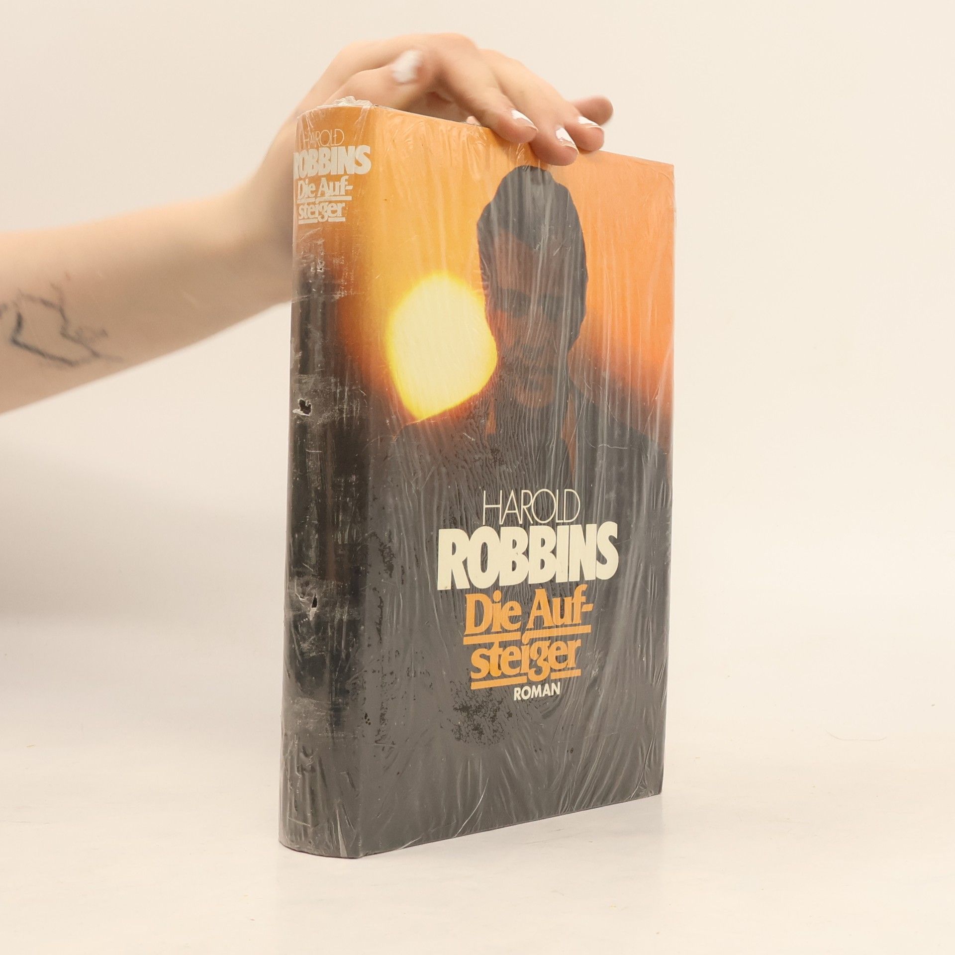 Harold Robbins Die Aufsteiger