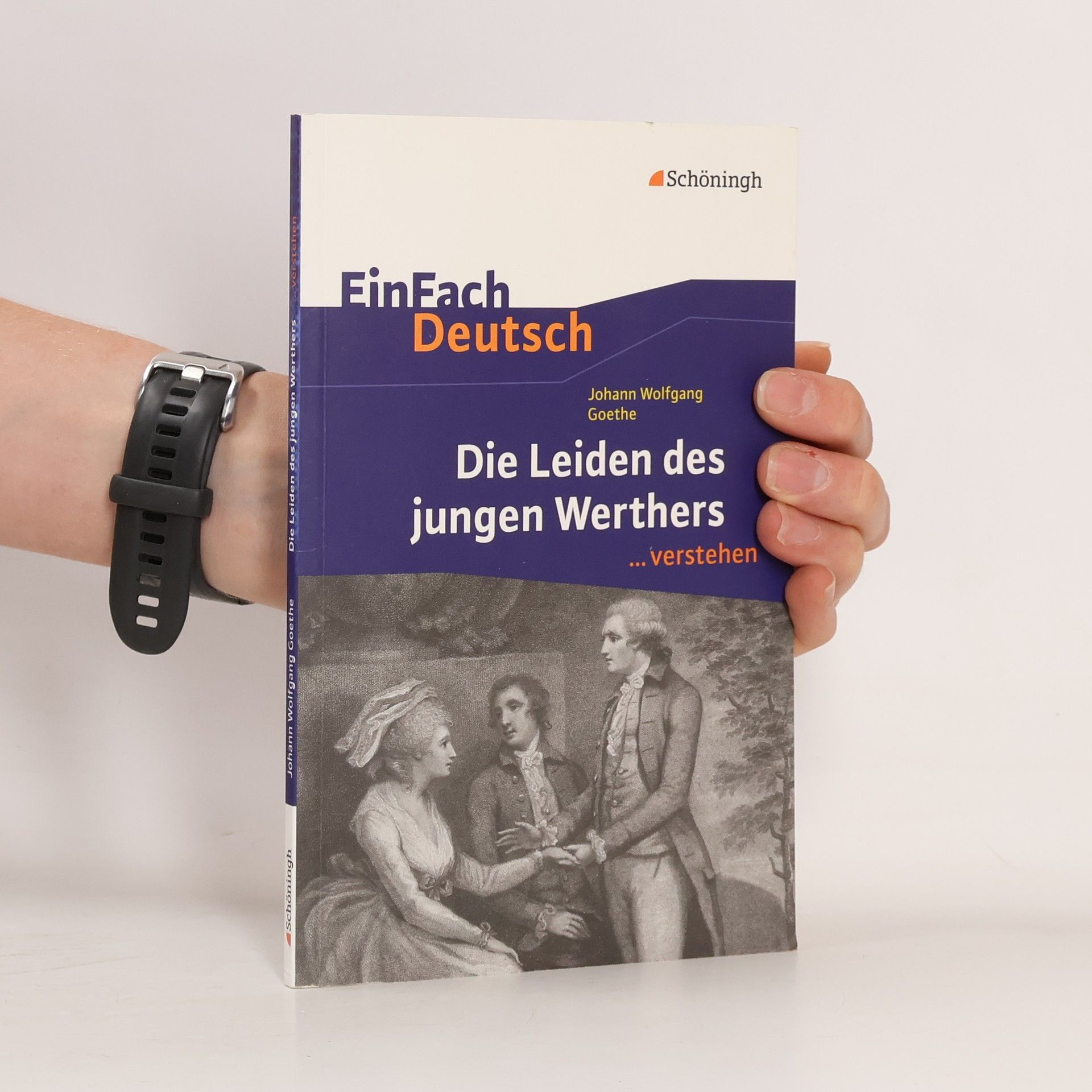 Johann Wolfgang Goethe, Die Leiden des jungen Werthers ... verstehen