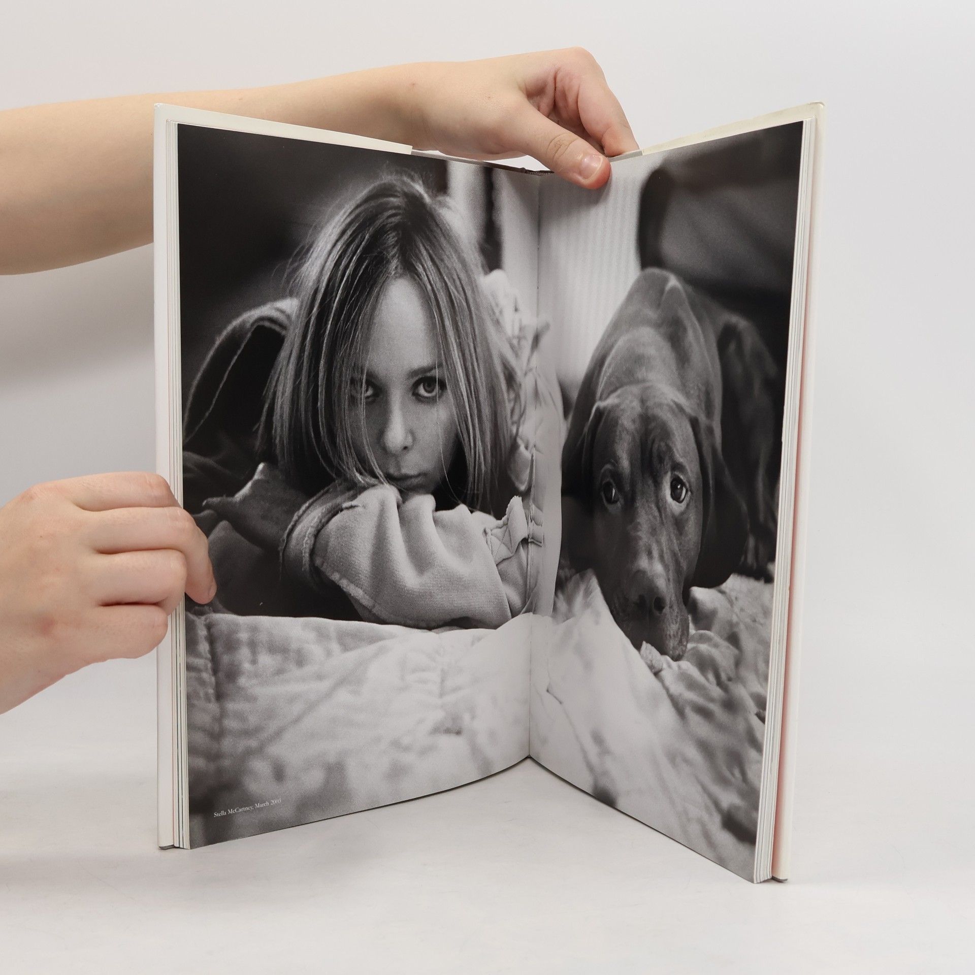 Sean Ellis Kubrick the Dog