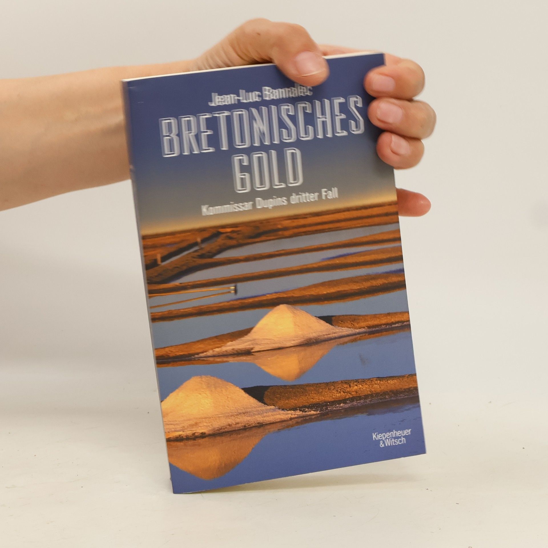Jörg Bong Bretonisches Gold: Kommissar Dupins dritter Fall