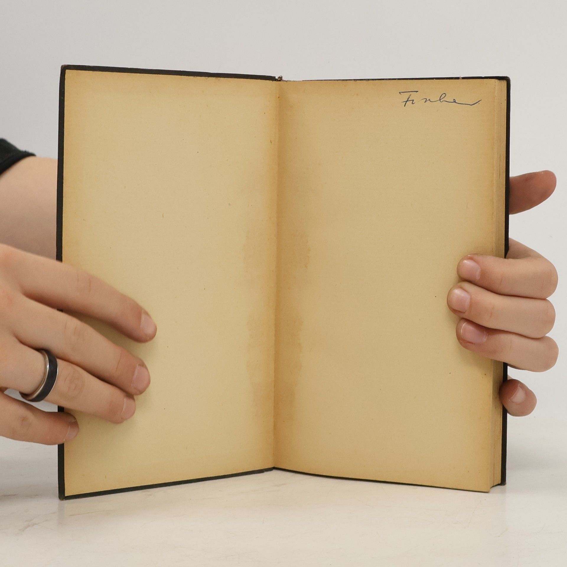 Friedrich Pfäfflin Das neue Testament