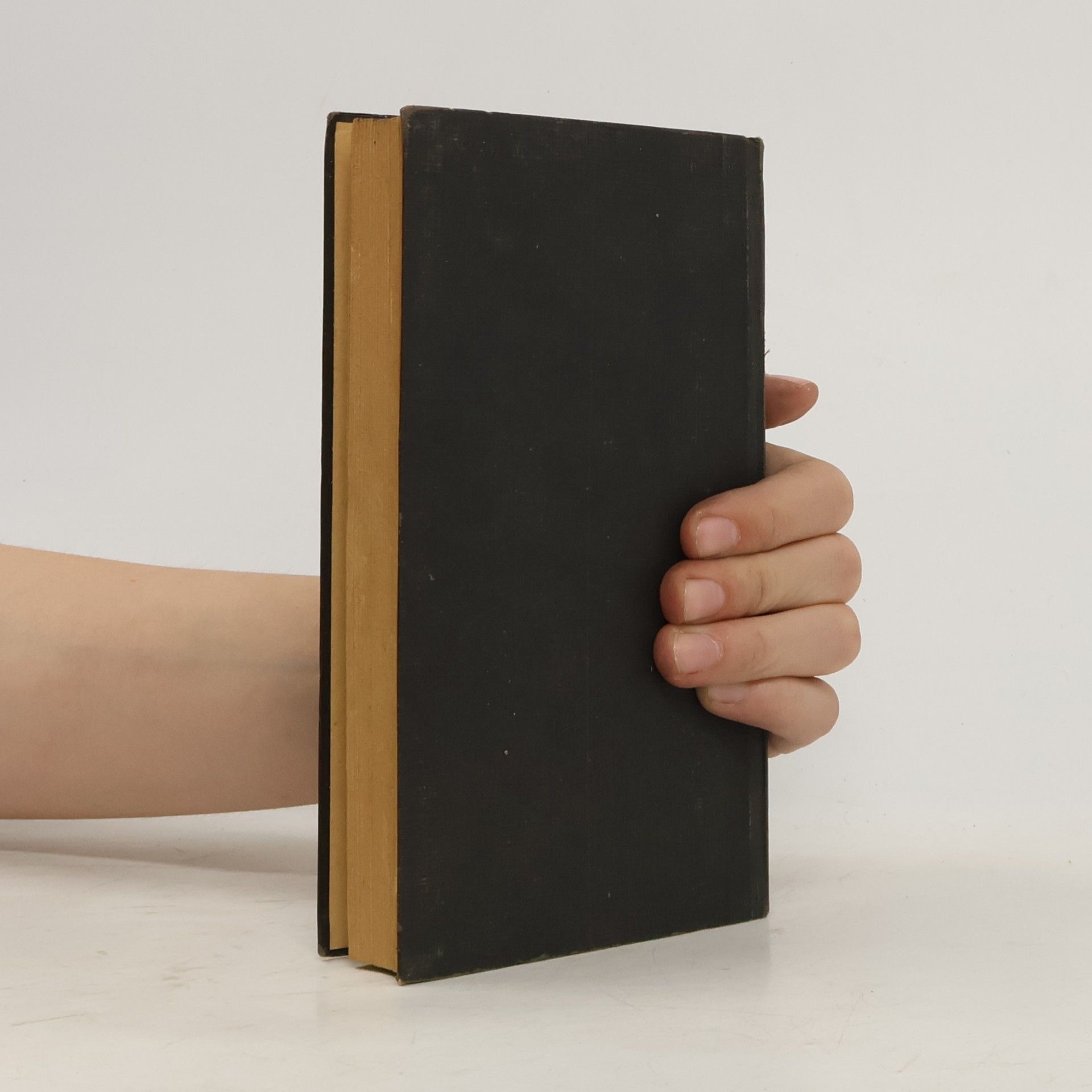 Friedrich Pfäfflin Das neue Testament