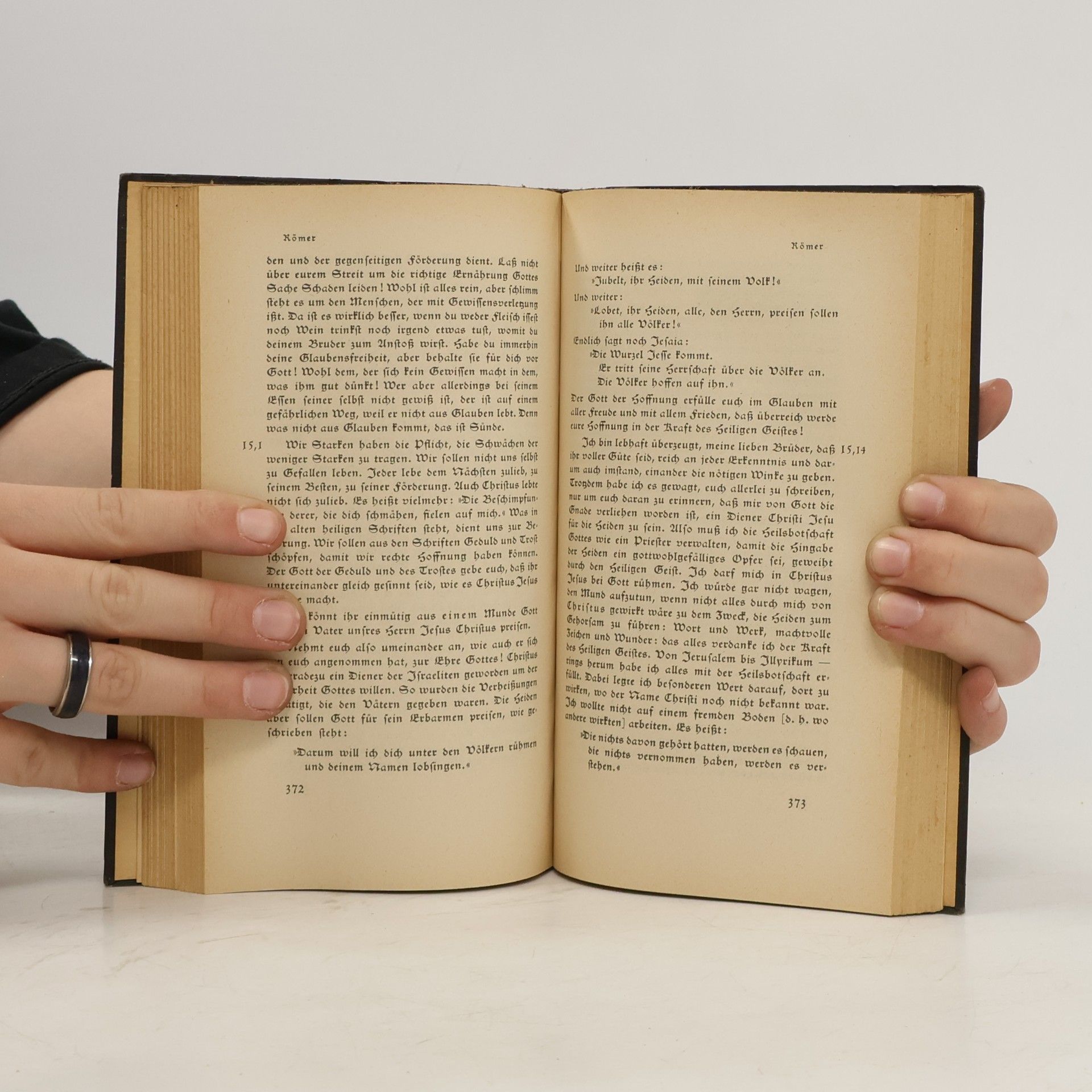 Friedrich Pfäfflin Das neue Testament
