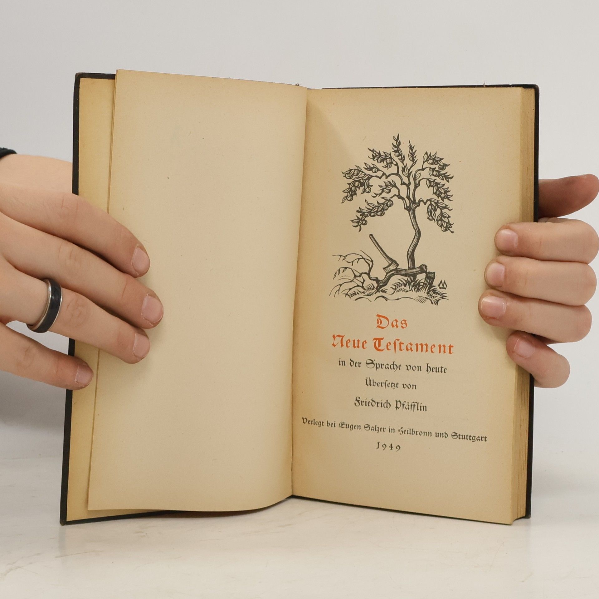 Friedrich Pfäfflin Das neue Testament