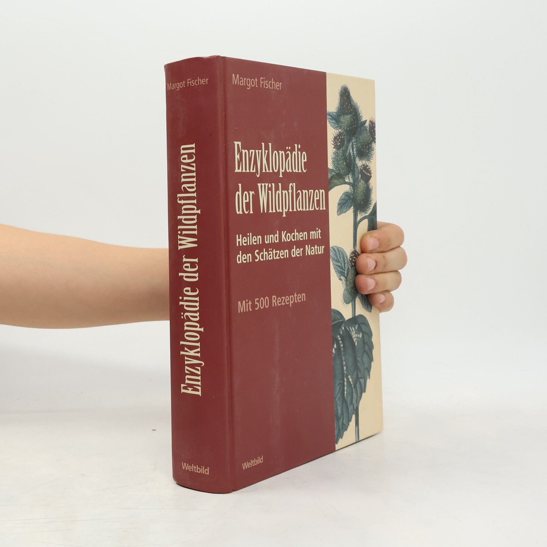 Margot Fischer Enzyklopädie der Wildpflanzen