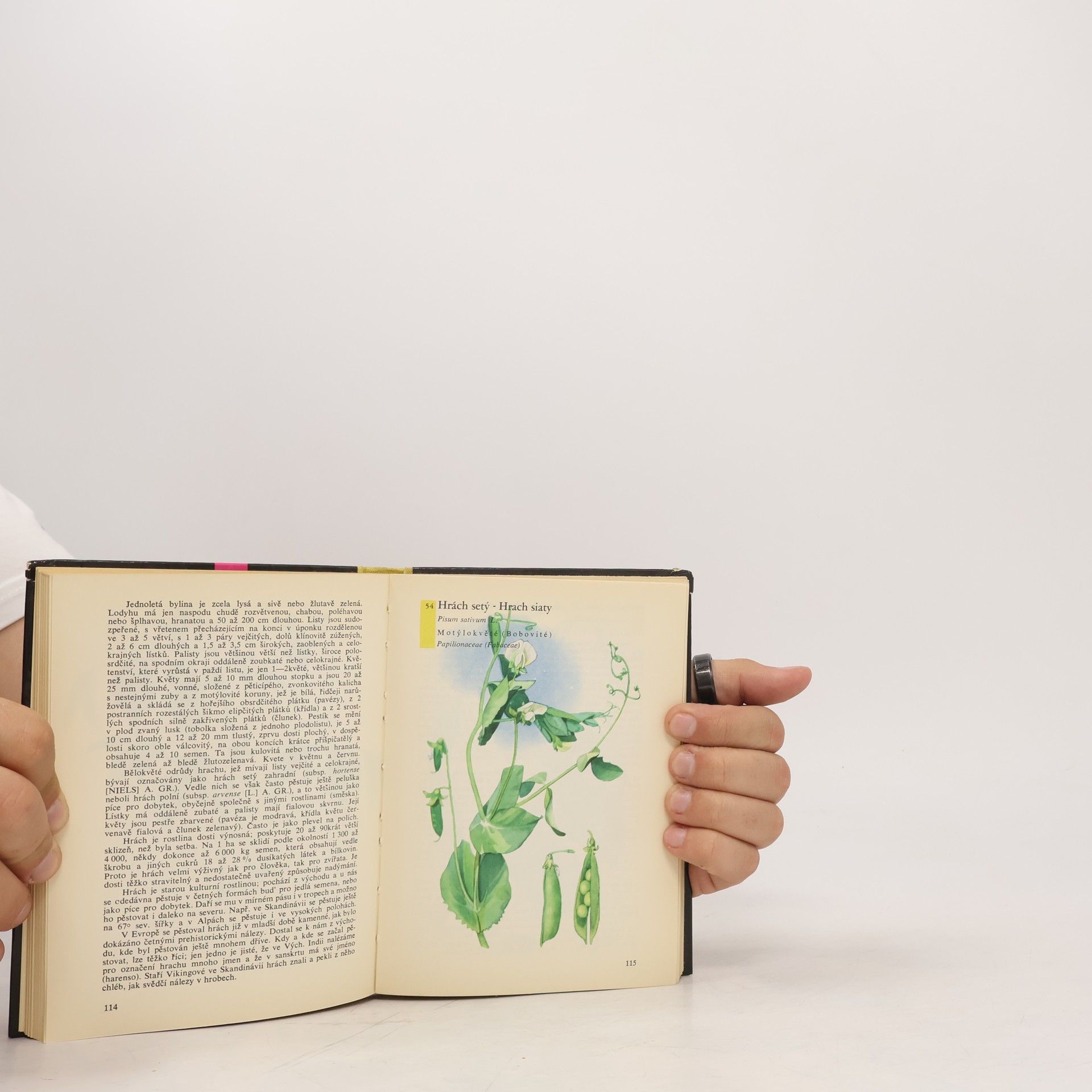 Otto Ušák Kapesní atlas rostlin