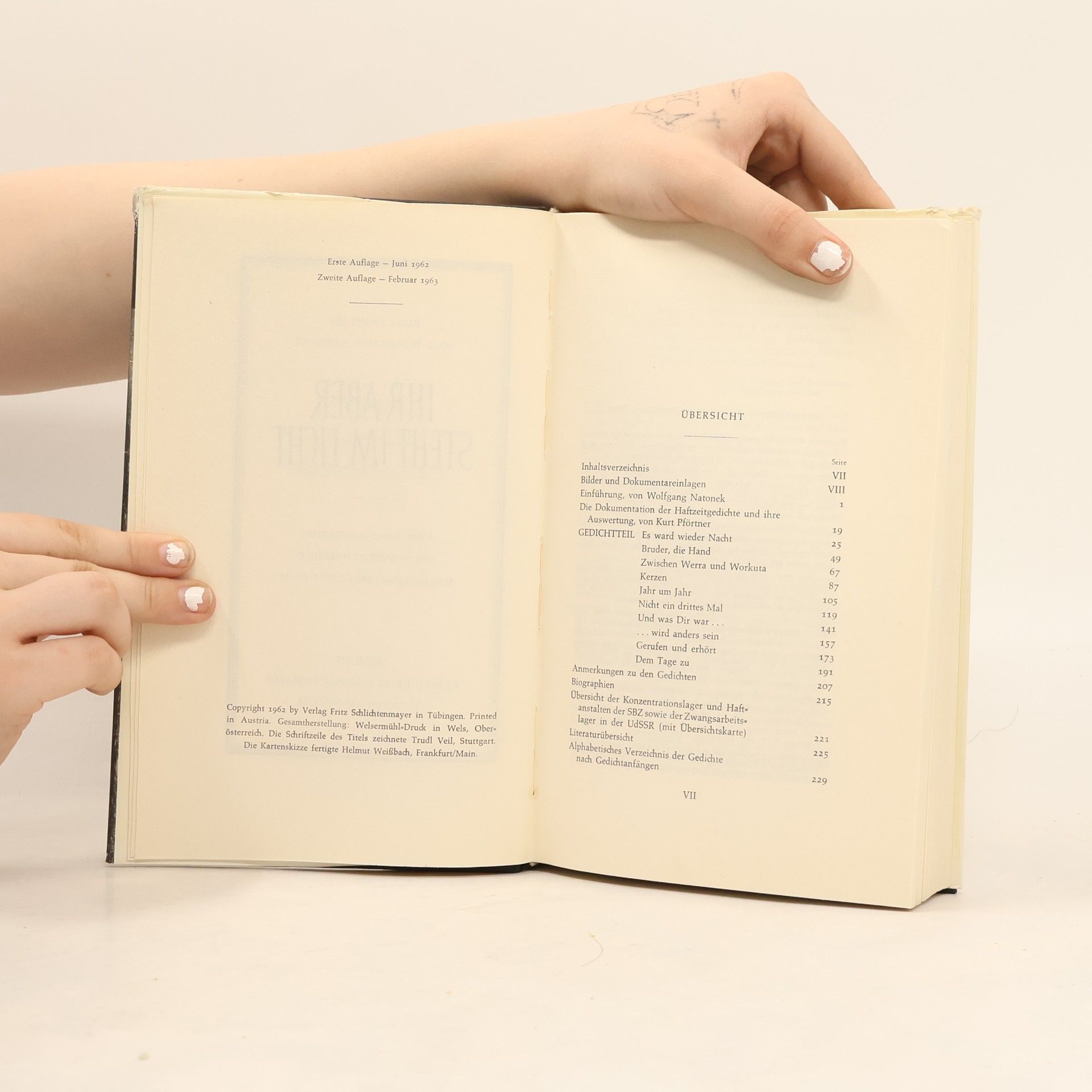 Autorenkollektiv Ihr aber steht im licht