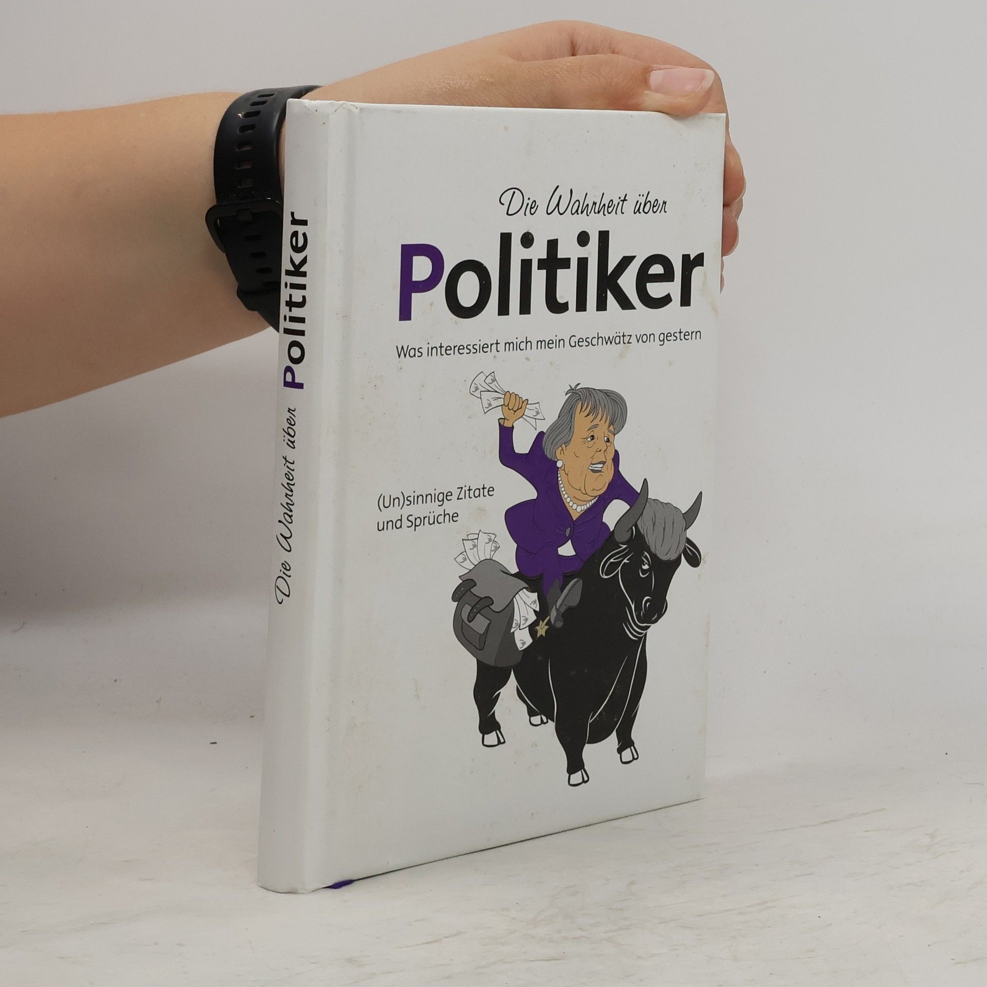 Andreas Ehrlich Die Wahrheit über Politiker